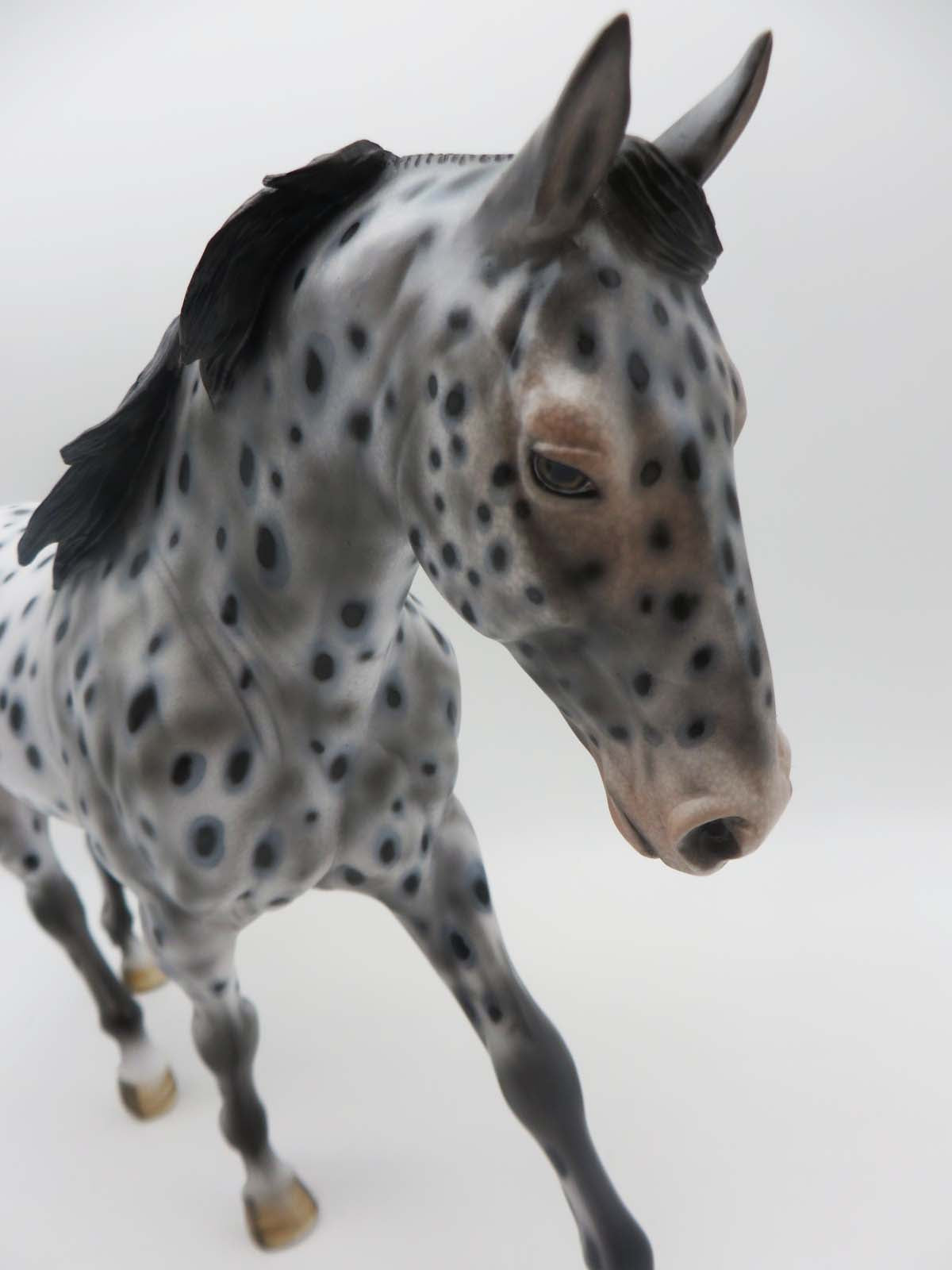 Million Dollar Cowboy - OOAK - Appaloosa Irish Draught Horse By Dawn Quick - SHCF23