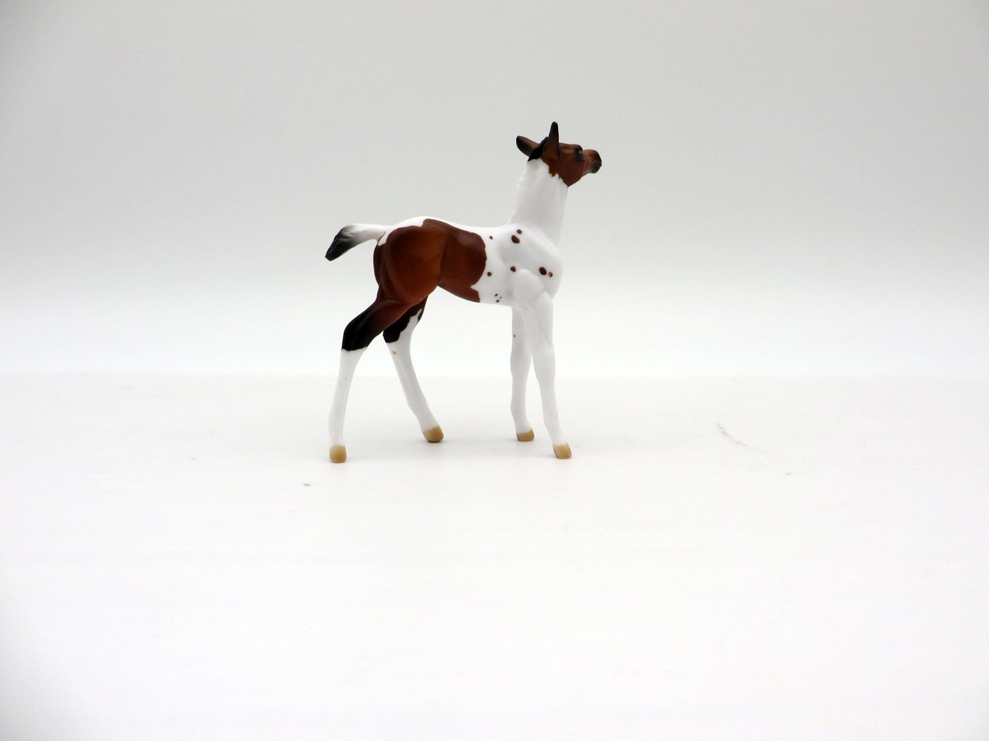 DREAMS OF CHEYENNE-LE-20 Bay Pinto Foal Painted By Audrey Dixon EQ 21
