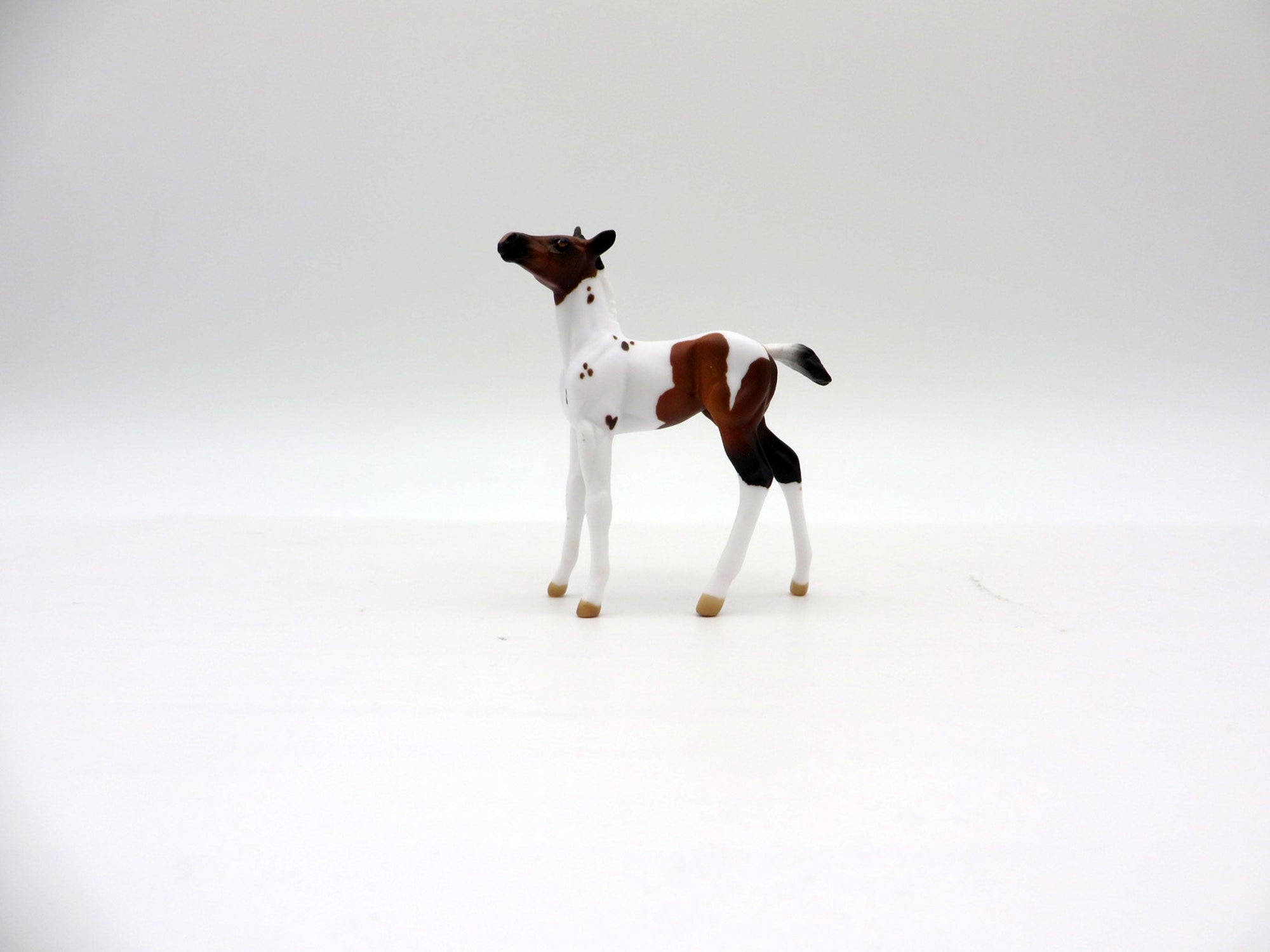 DREAMS OF CHEYENNE-LE-20 Bay Pinto Foal Painted By Audrey Dixon EQ 21