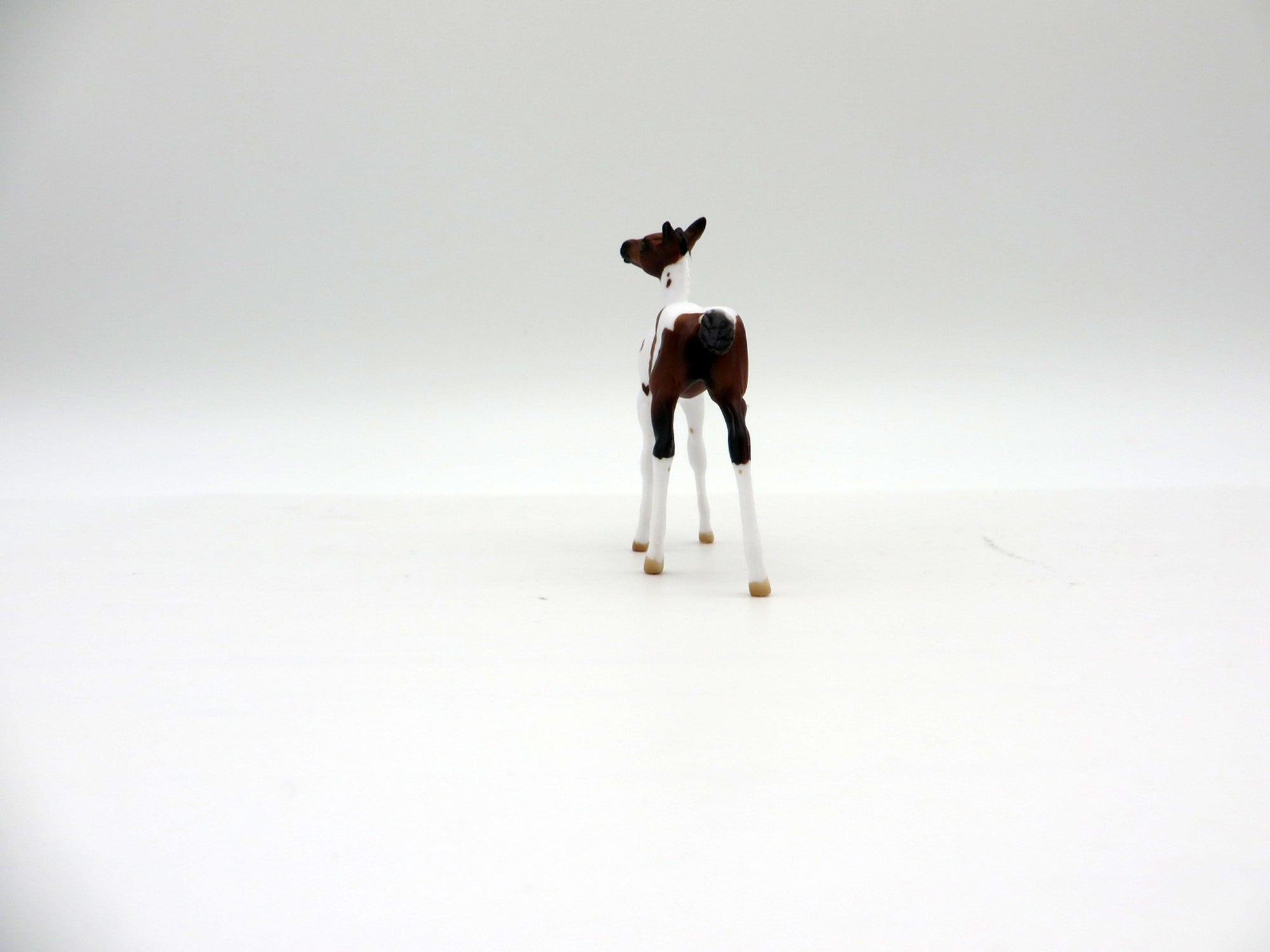 DREAMS OF CHEYENNE-LE-20 Bay Pinto Foal Painted By Audrey Dixon EQ 21