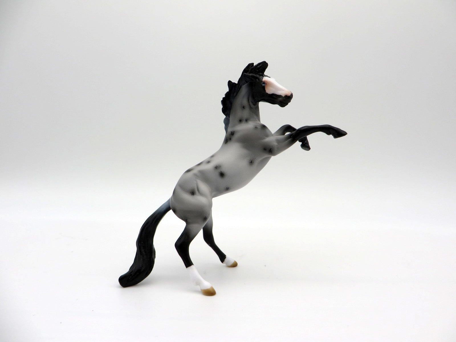 Smart Little Tina-LE-15 CHIP Ranch Horse Series 3/26/21