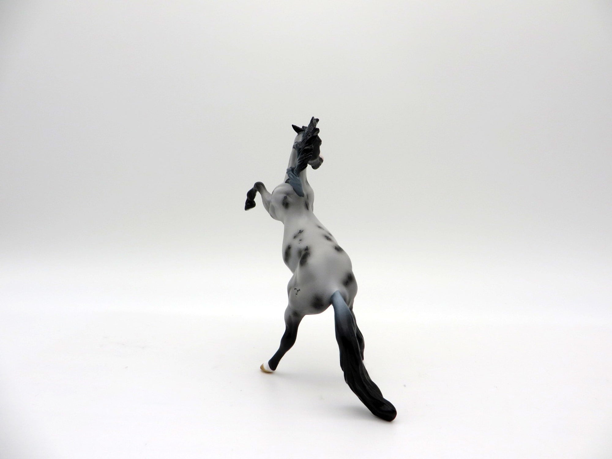 Smart Little Tina-LE-15 CHIP Ranch Horse Series 3/26/21