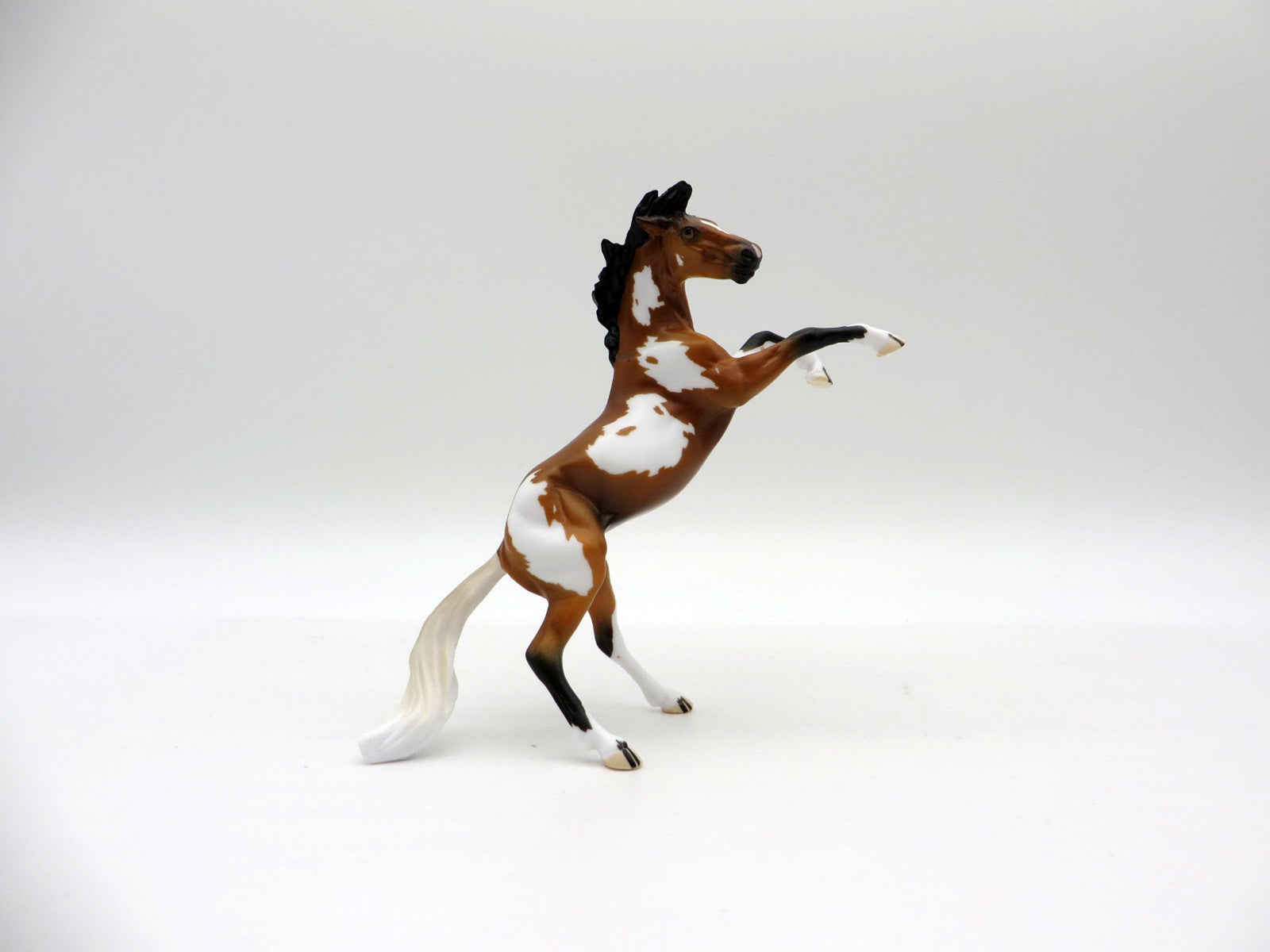 Mini Me Chip-Spindrift LE-20 Rearing Chip EQ 2021