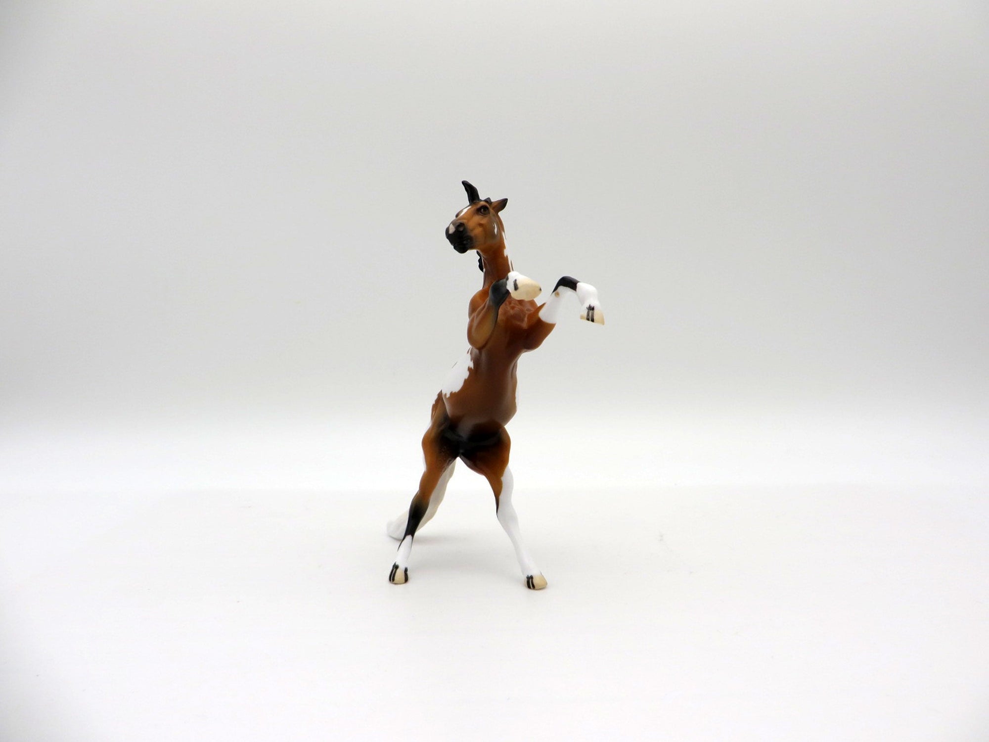 Mini Me Chip-Spindrift LE-20 Rearing Chip EQ 2021