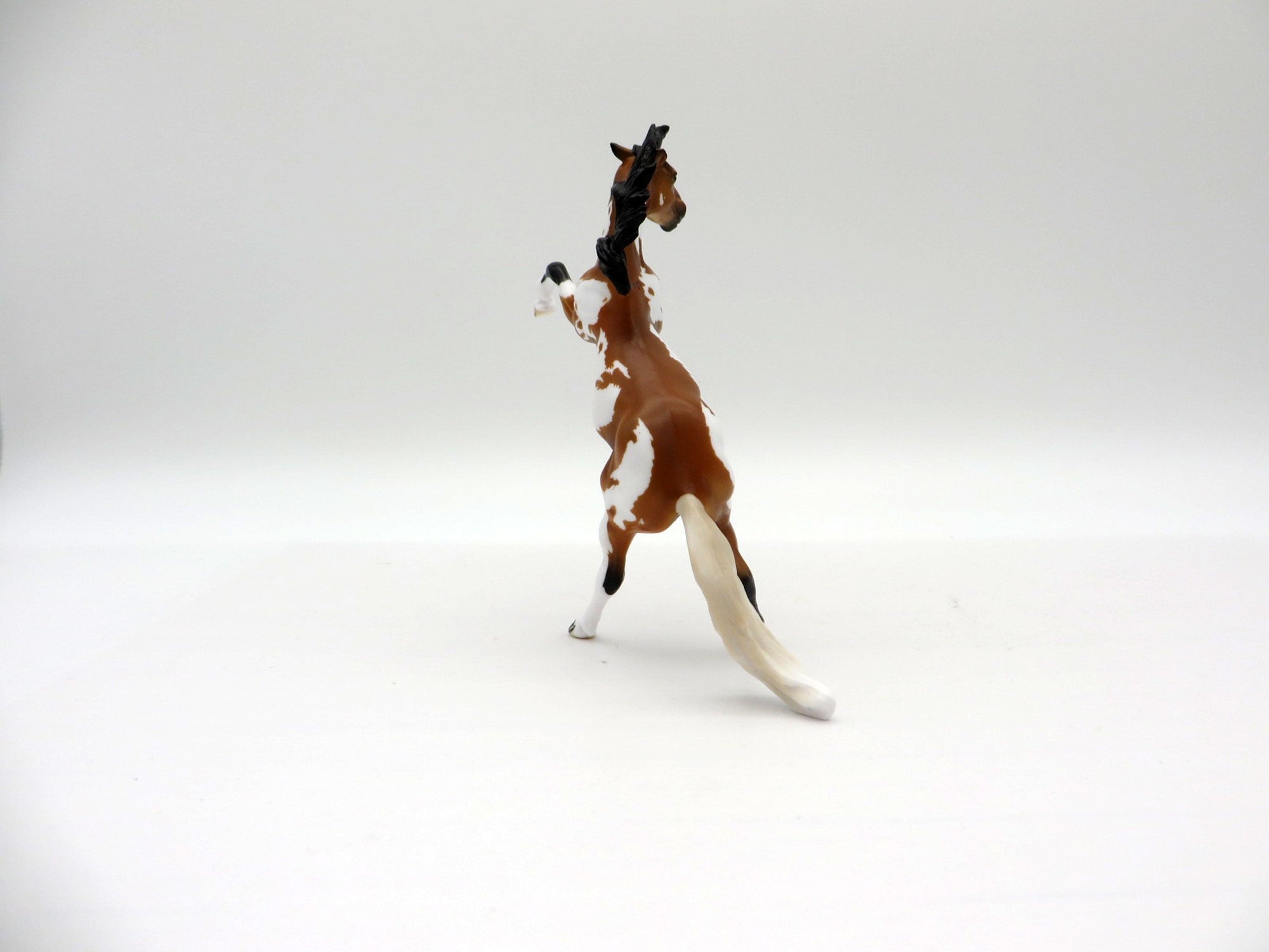 Mini Me Chip-Spindrift LE-20 Rearing Chip EQ 2021