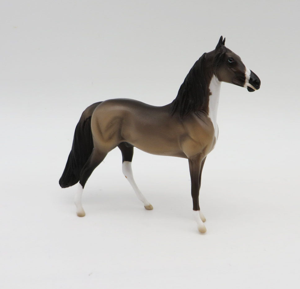 SAMPLE of Oscar Mini Me Snowshoe Morgan Chip Painted by Angela Marleau