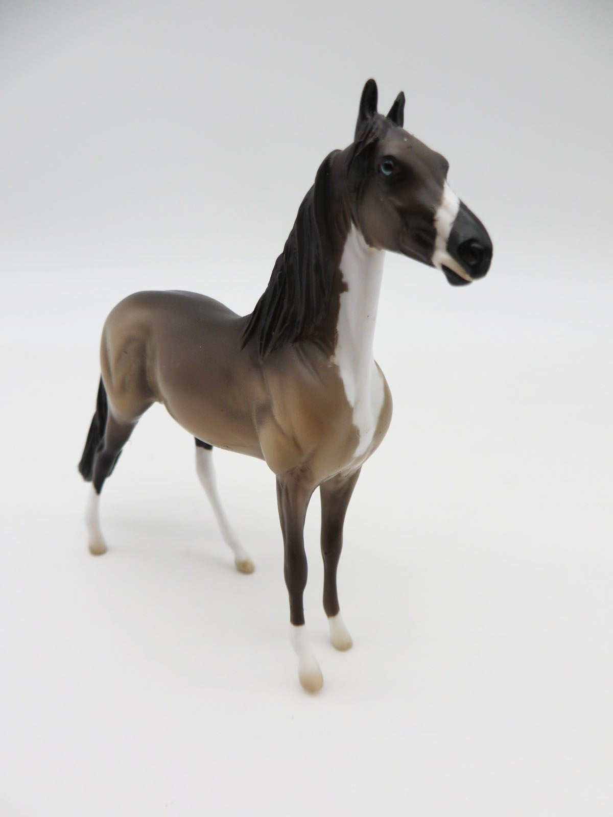 SAMPLE of Oscar Mini Me Snowshoe Morgan Chip Painted by Angela Marleau