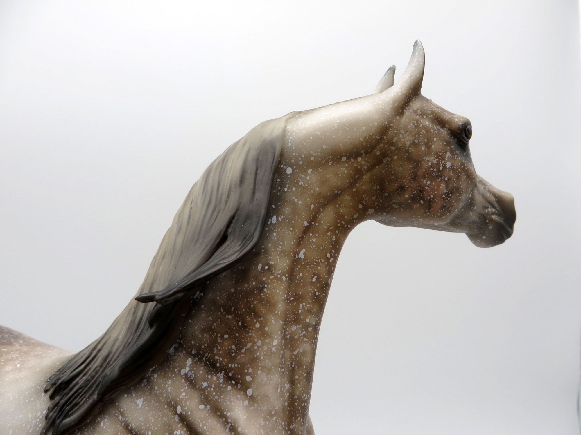 Mink-OOAK Dapple Grey Arabian Equilocity 2021 Painted by Al