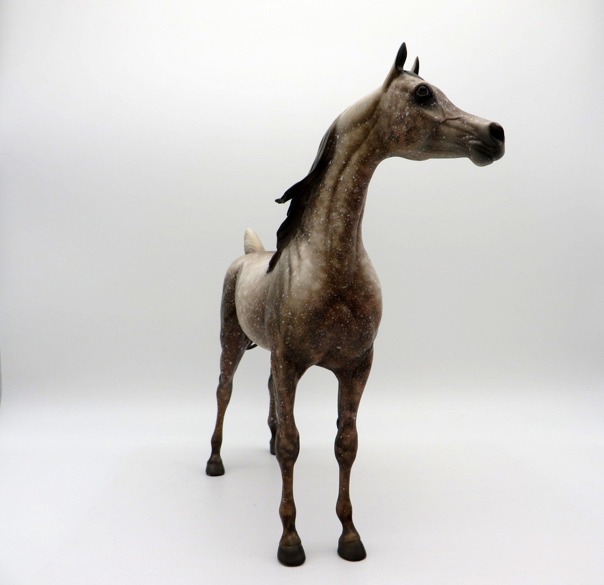 Mink-OOAK Dapple Grey Arabian Equilocity 2021 Painted by Al