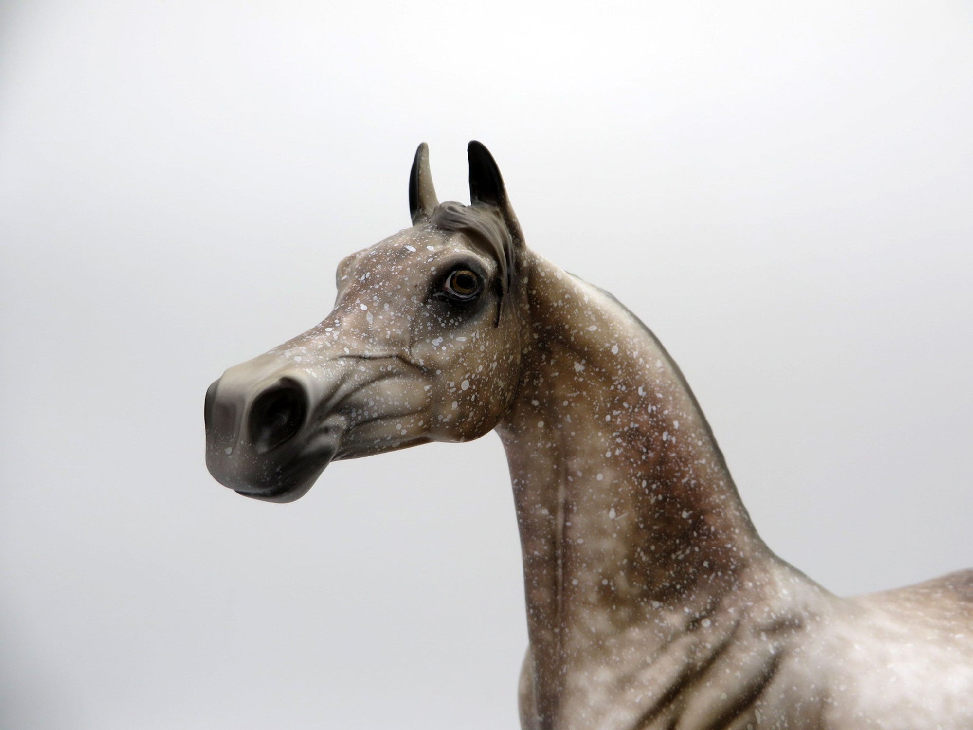 Mink-OOAK Dapple Grey Arabian Equilocity 2021 Painted by Al