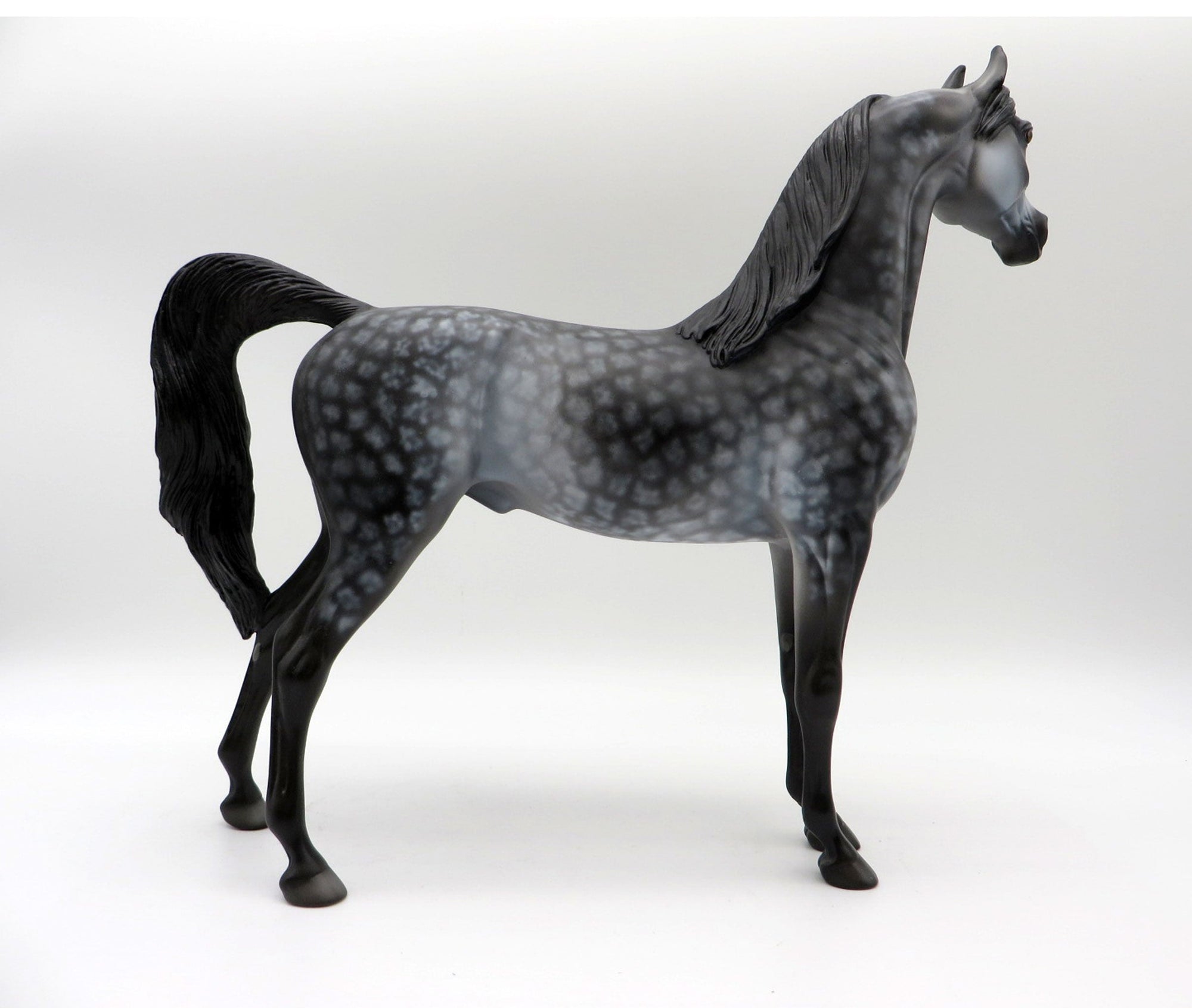 Miracle-OOAK Star Dapple Grey Arabian Painted By Dawn Quick  5/21/21