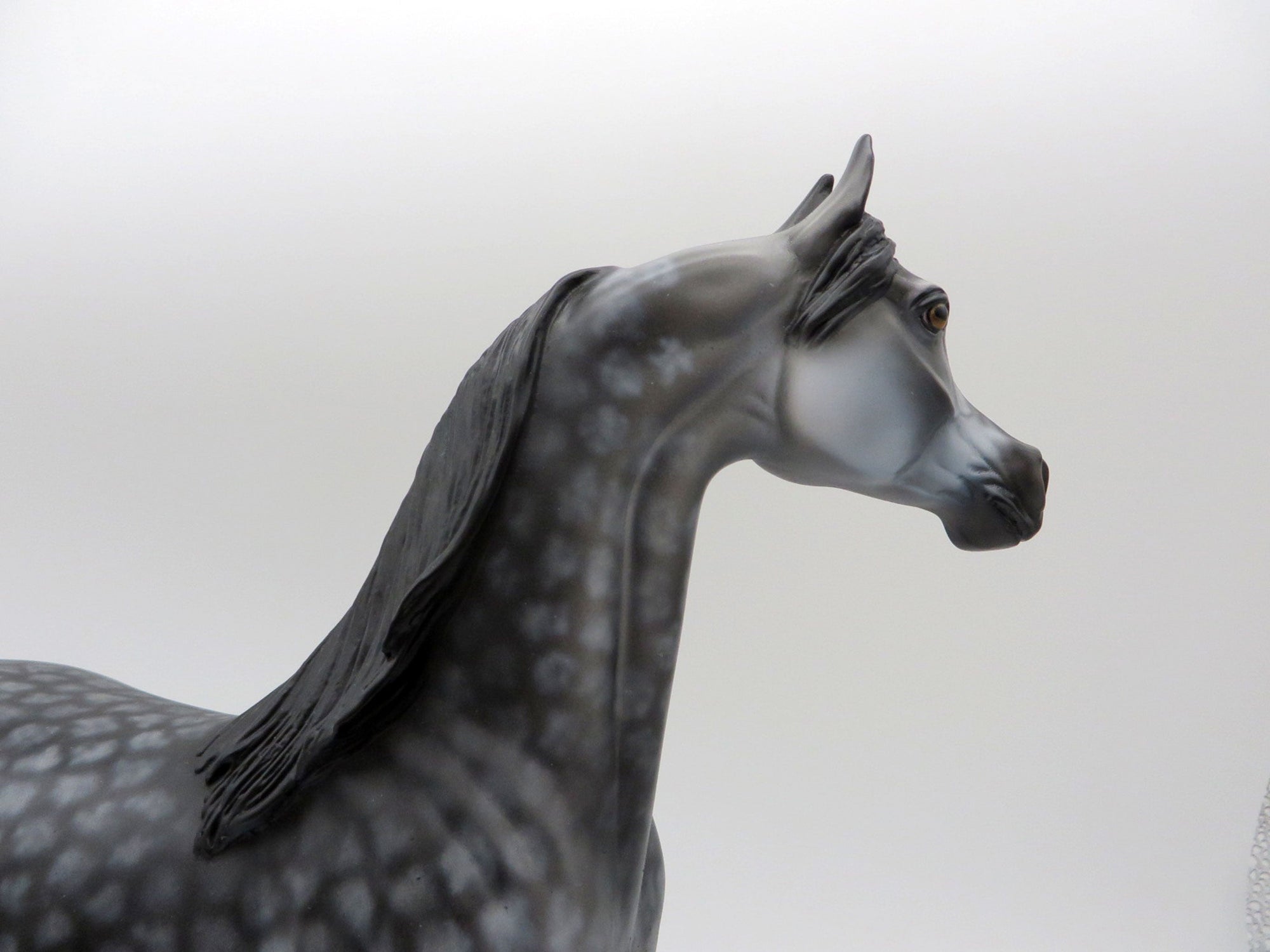 Miracle-OOAK Star Dapple Grey Arabian Painted By Dawn Quick  5/21/21