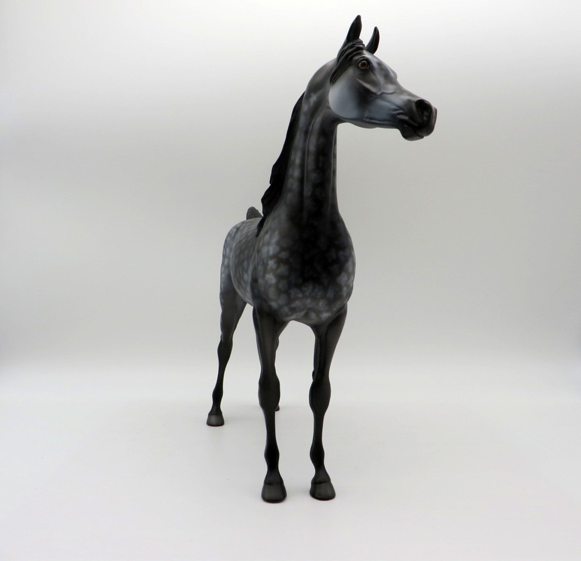 Miracle-OOAK Star Dapple Grey Arabian Painted By Dawn Quick  5/21/21