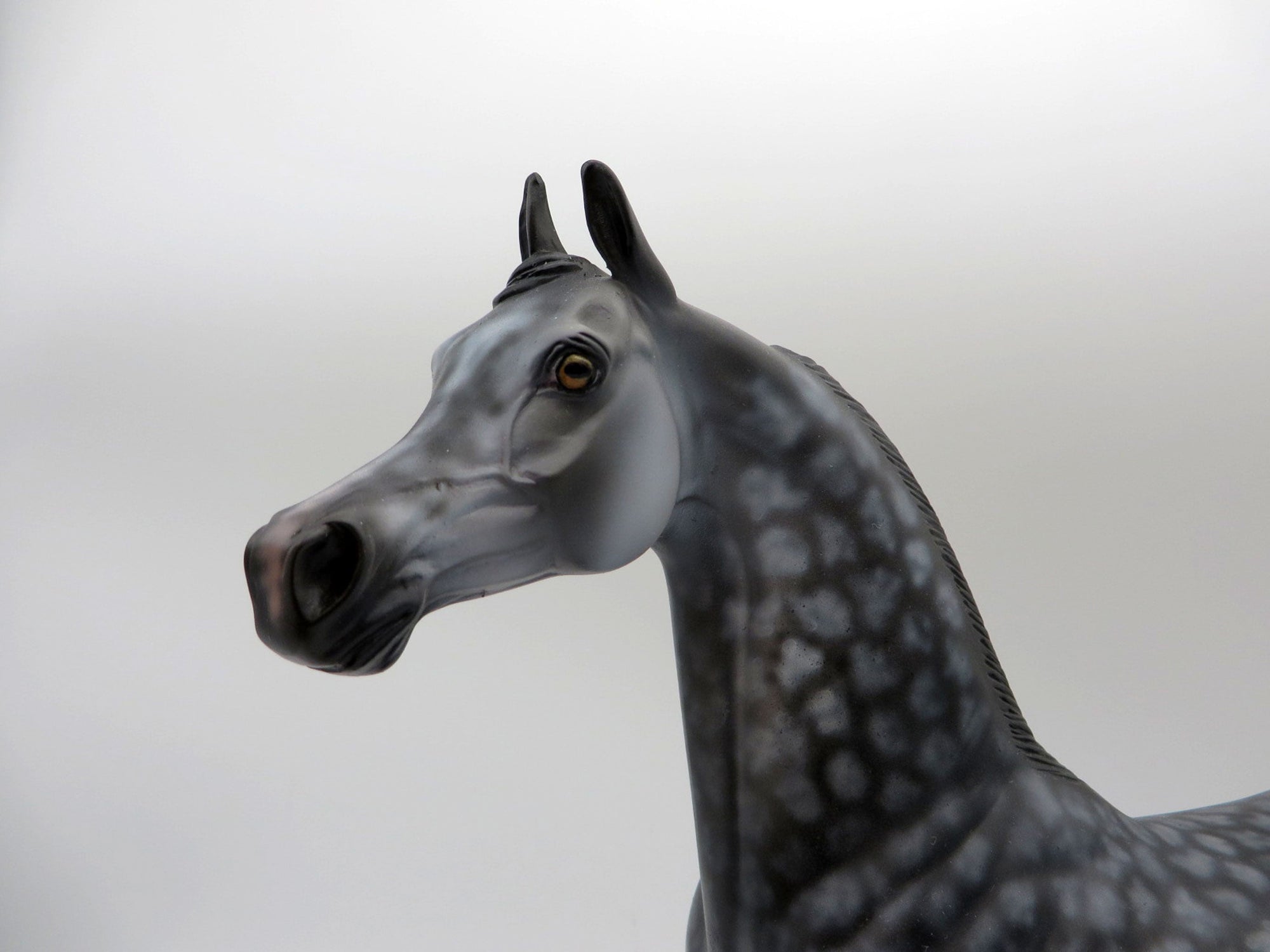 Miracle-OOAK Star Dapple Grey Arabian Painted By Dawn Quick  5/21/21