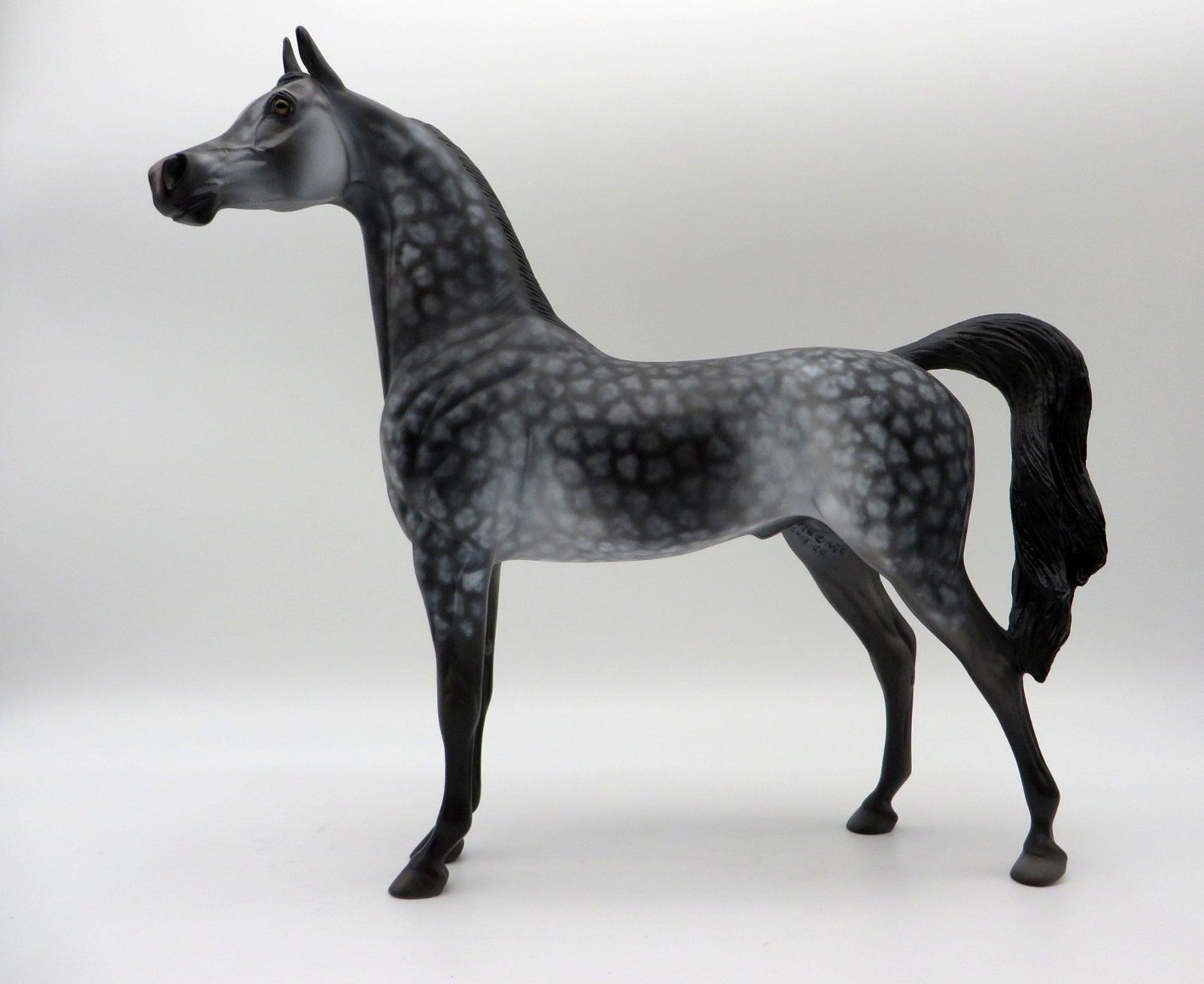 Miracle-OOAK Star Dapple Grey Arabian Painted By Dawn Quick  5/21/21