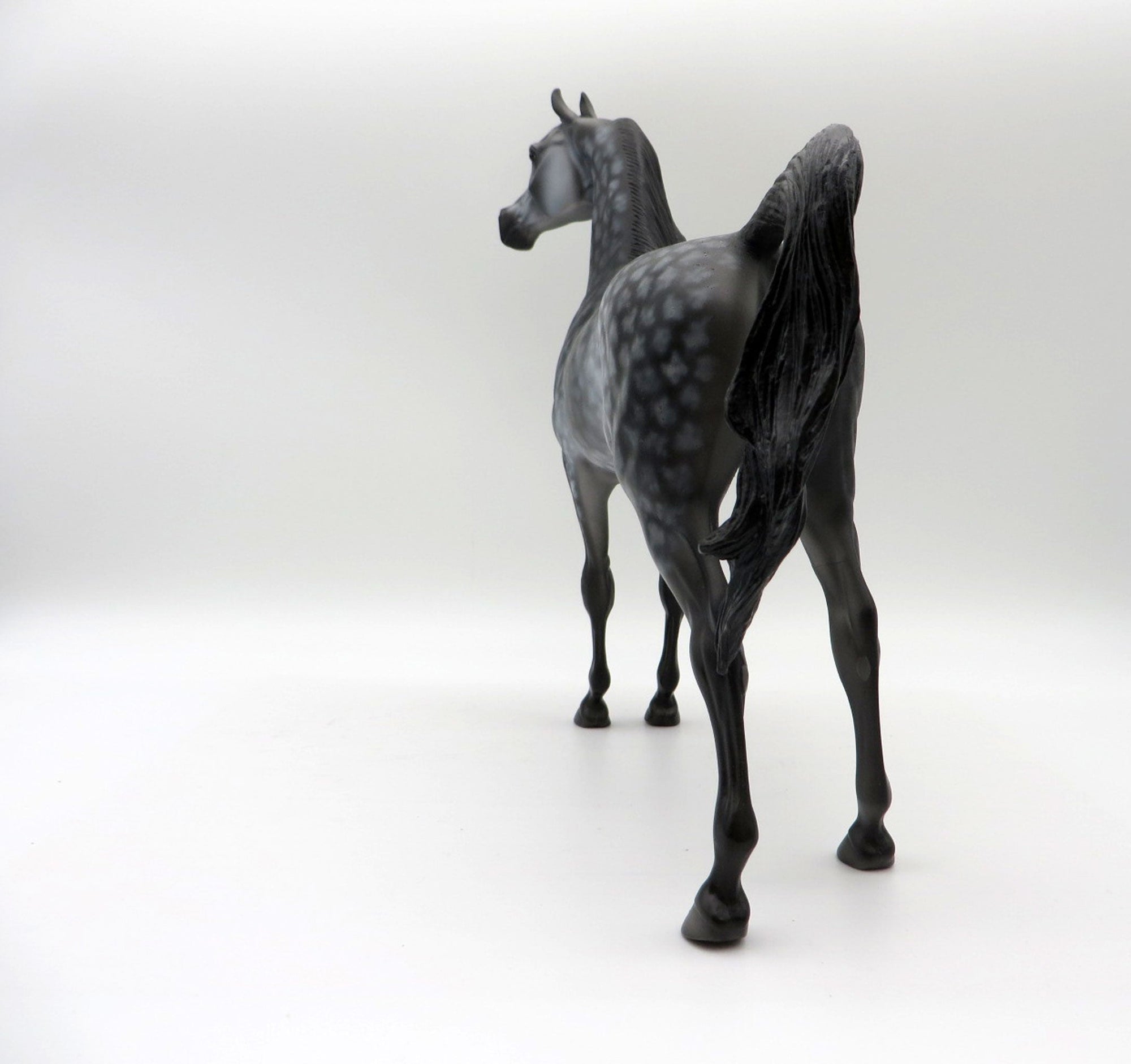 Miracle-OOAK Star Dapple Grey Arabian Painted By Dawn Quick  5/21/21