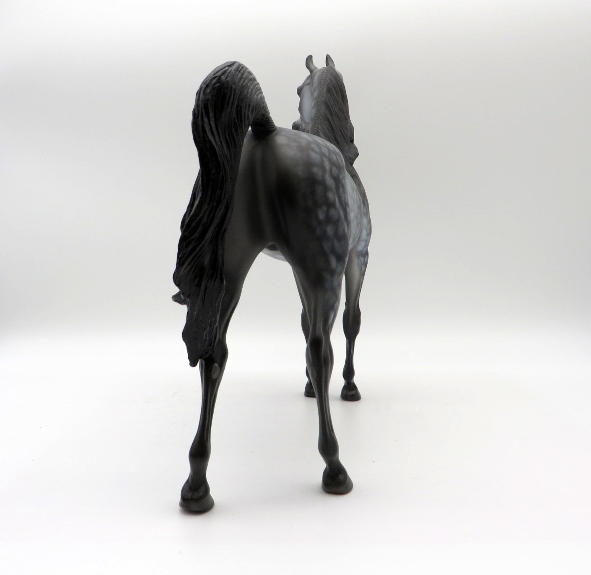 Miracle-OOAK Star Dapple Grey Arabian Painted By Dawn Quick  5/21/21