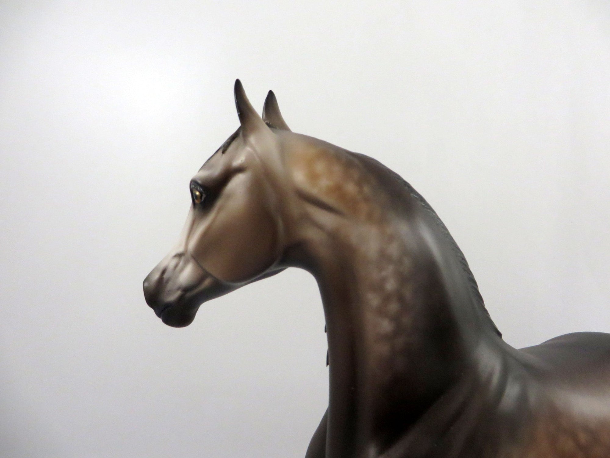 Mirage-OOAK Rose Grey Arabian Mare By Sheryl Leisure  2/25/21