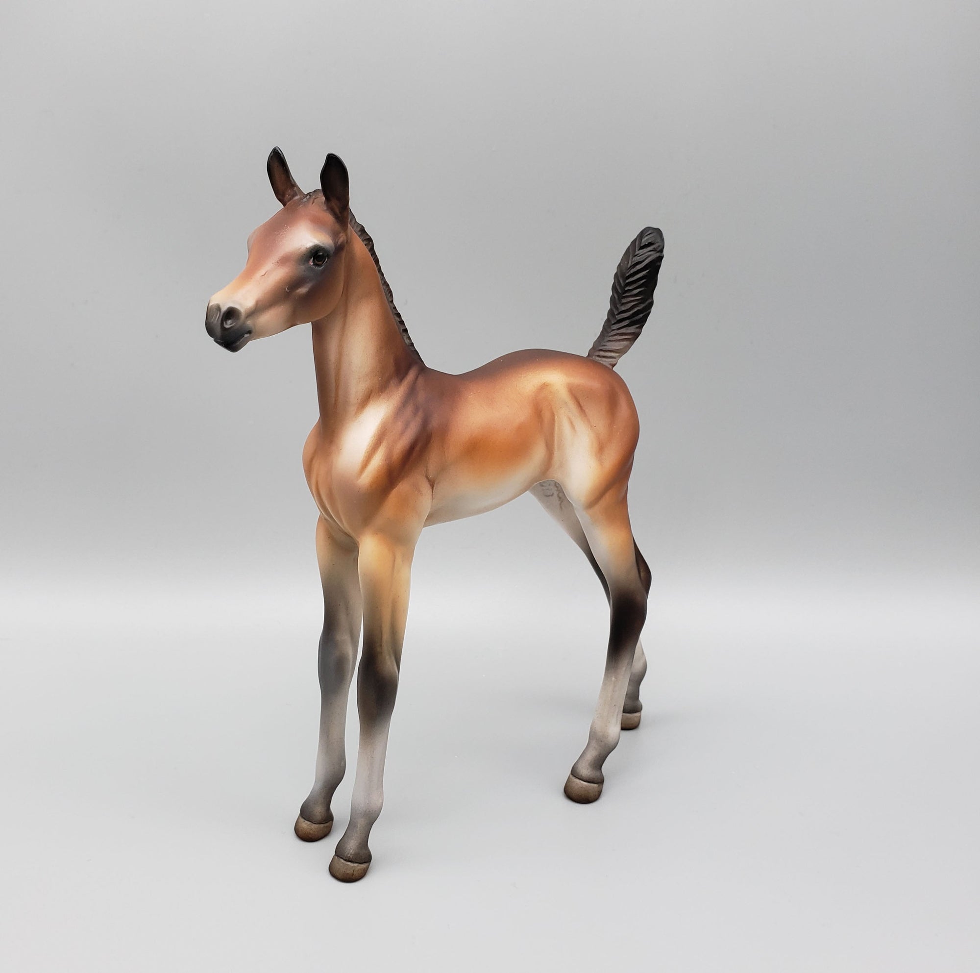 Sample of Mirana Mealy Bay Arab Foal By Julie Keim