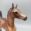 Sample of Mirana Mealy Bay Arab Foal By Julie Keim