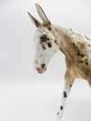 Miss Kelly-OOAK Loud Bay Appaloosa Mule by Sheryl Leisure 9/26/22