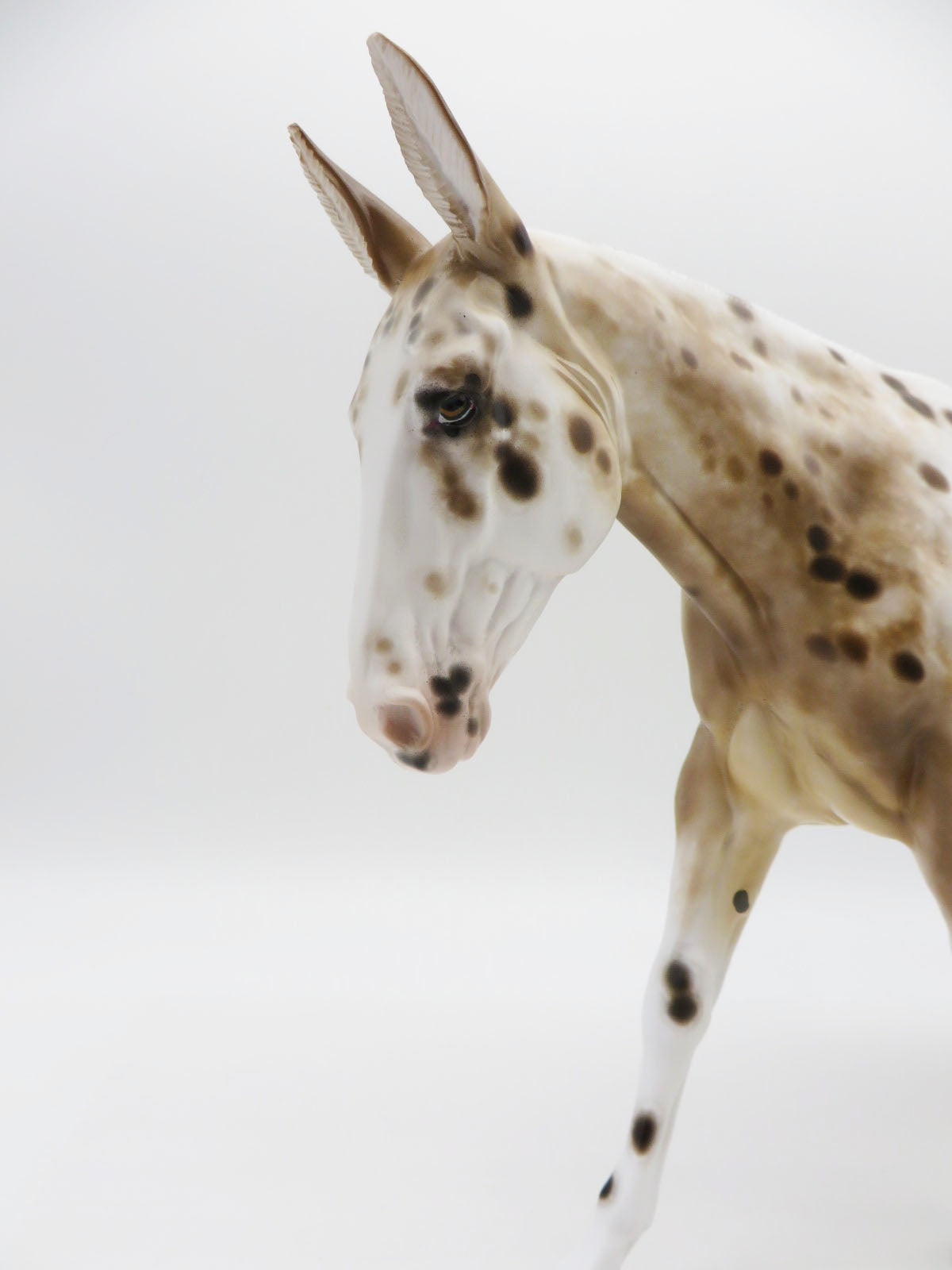 Miss Kelly-OOAK Loud Bay Appaloosa Mule by Sheryl Leisure 9/26/22