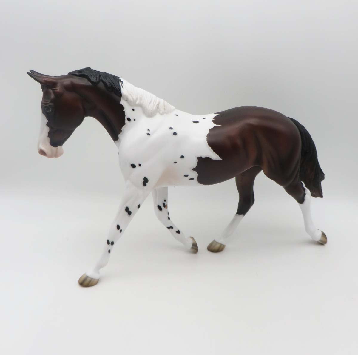 Missoula  OOAK Bay Pintaloosa Palouse By Jess Hamill SHCF23