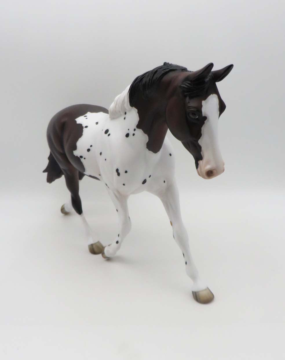 Missoula  OOAK Bay Pintaloosa Palouse By Jess Hamill SHCF23