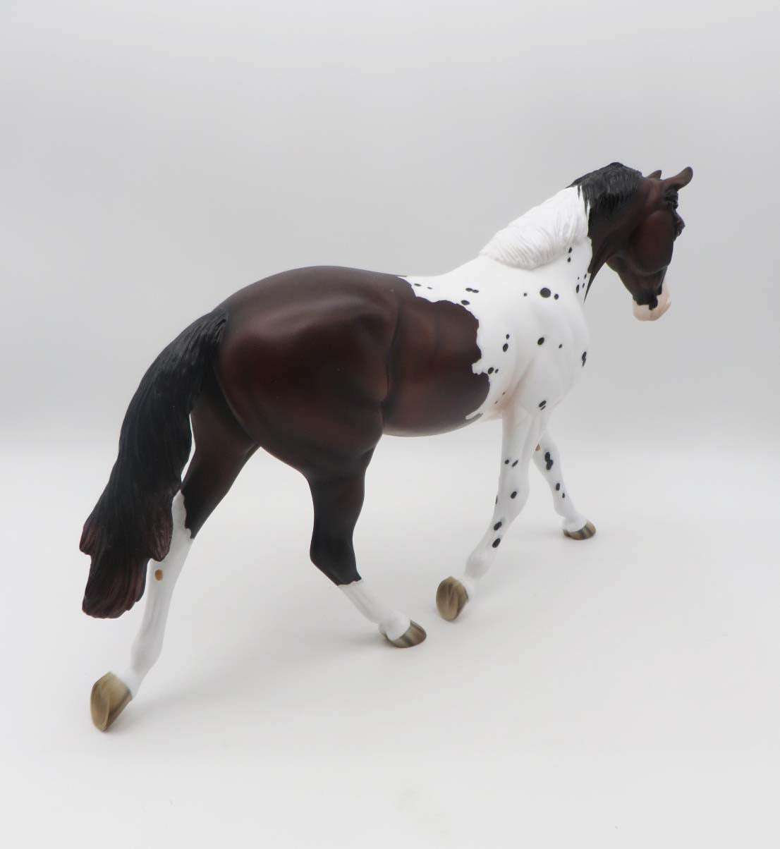 Missoula  OOAK Bay Pintaloosa Palouse By Jess Hamill SHCF23