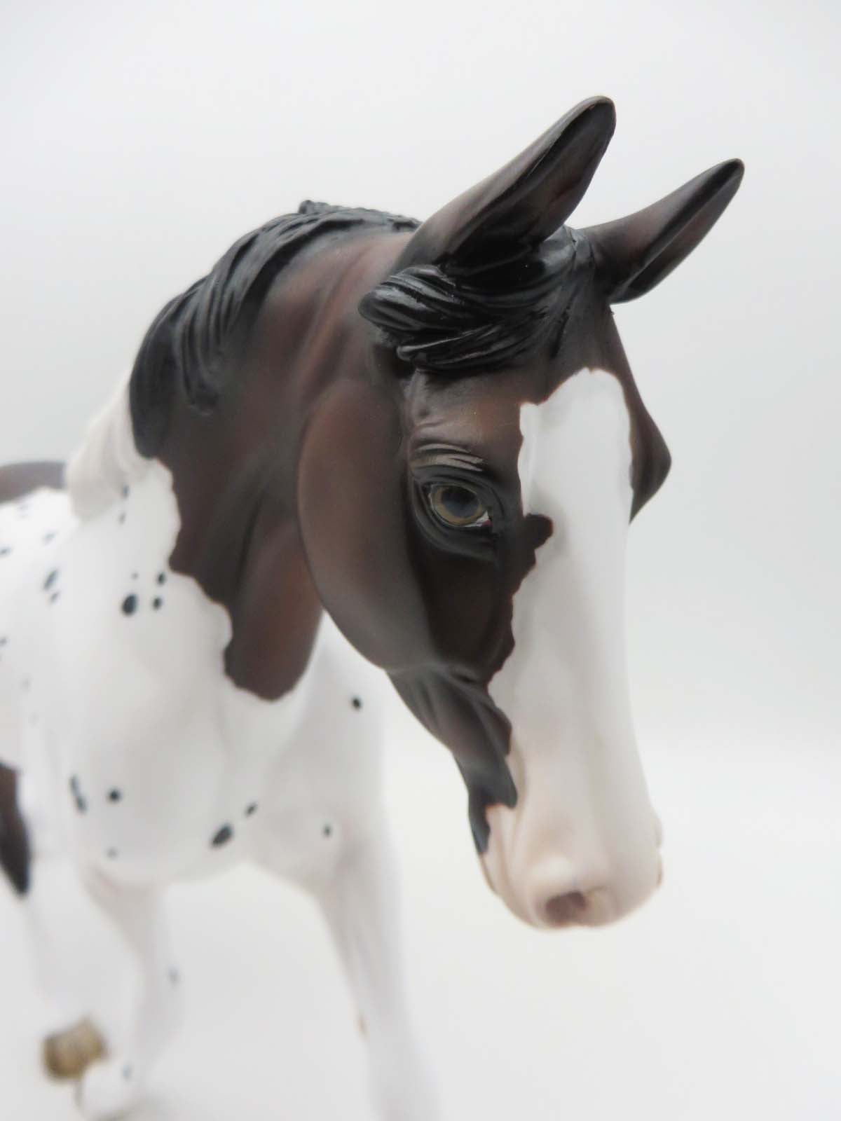 Missoula  OOAK Bay Pintaloosa Palouse By Jess Hamill SHCF23