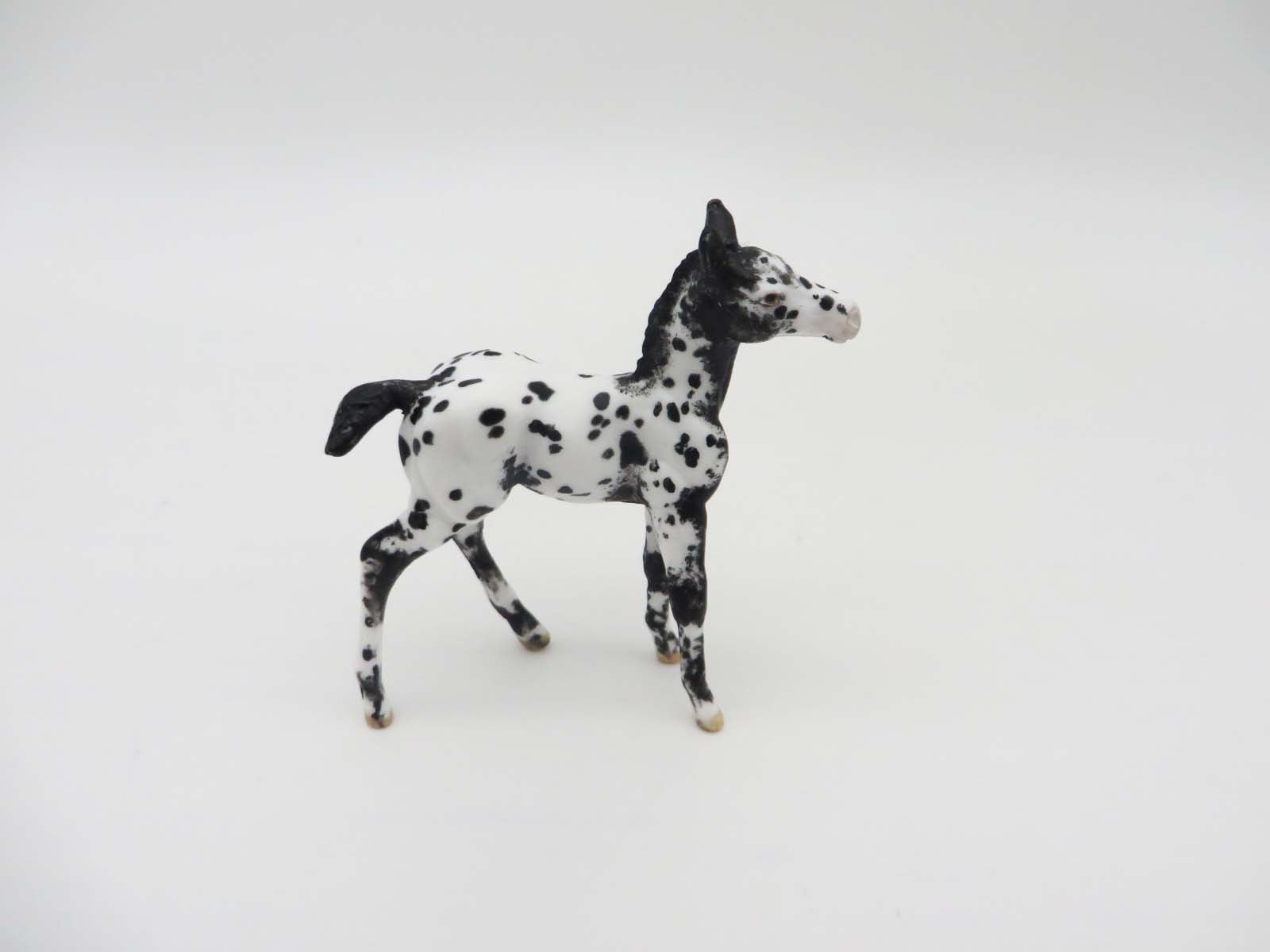 Missoula Falls - OOAK - Appy Chip Foal By Andrea Thomason - SHCF23