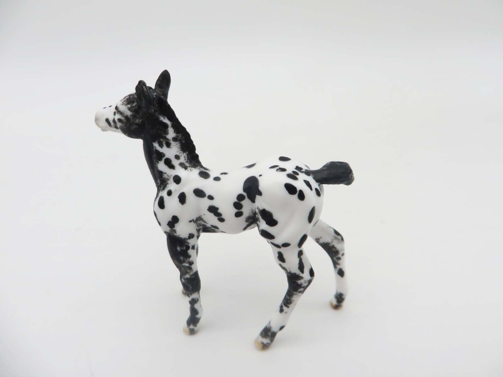 Missoula Falls - OOAK - Appy Chip Foal By Andrea Thomason - SHCF23