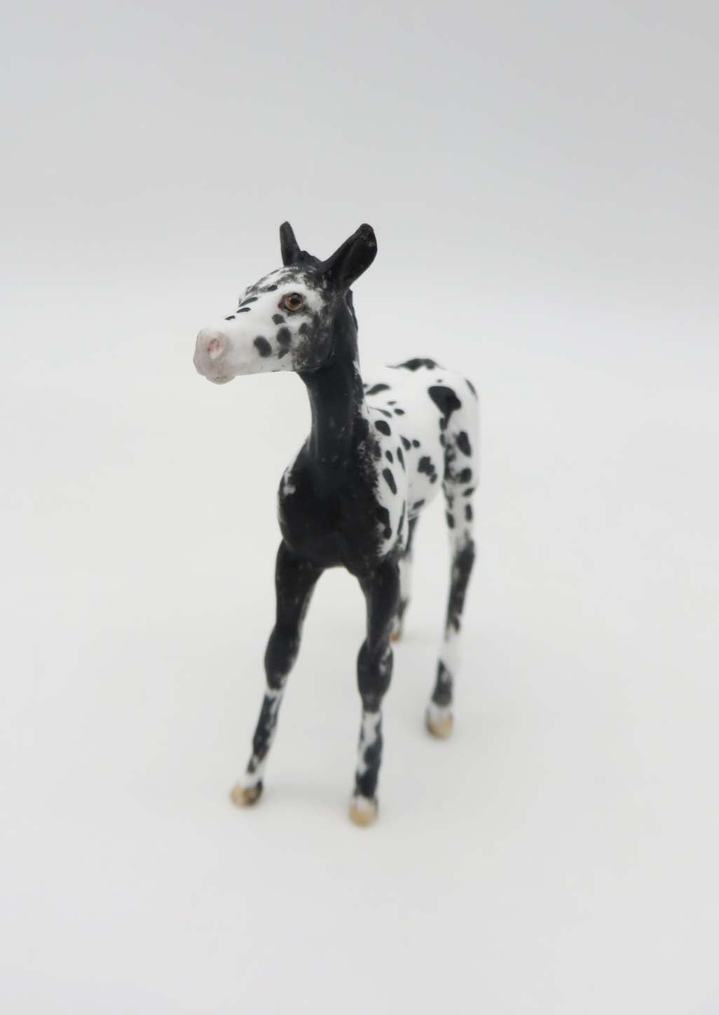 Missoula Falls - OOAK - Appy Chip Foal By Andrea Thomason - SHCF23