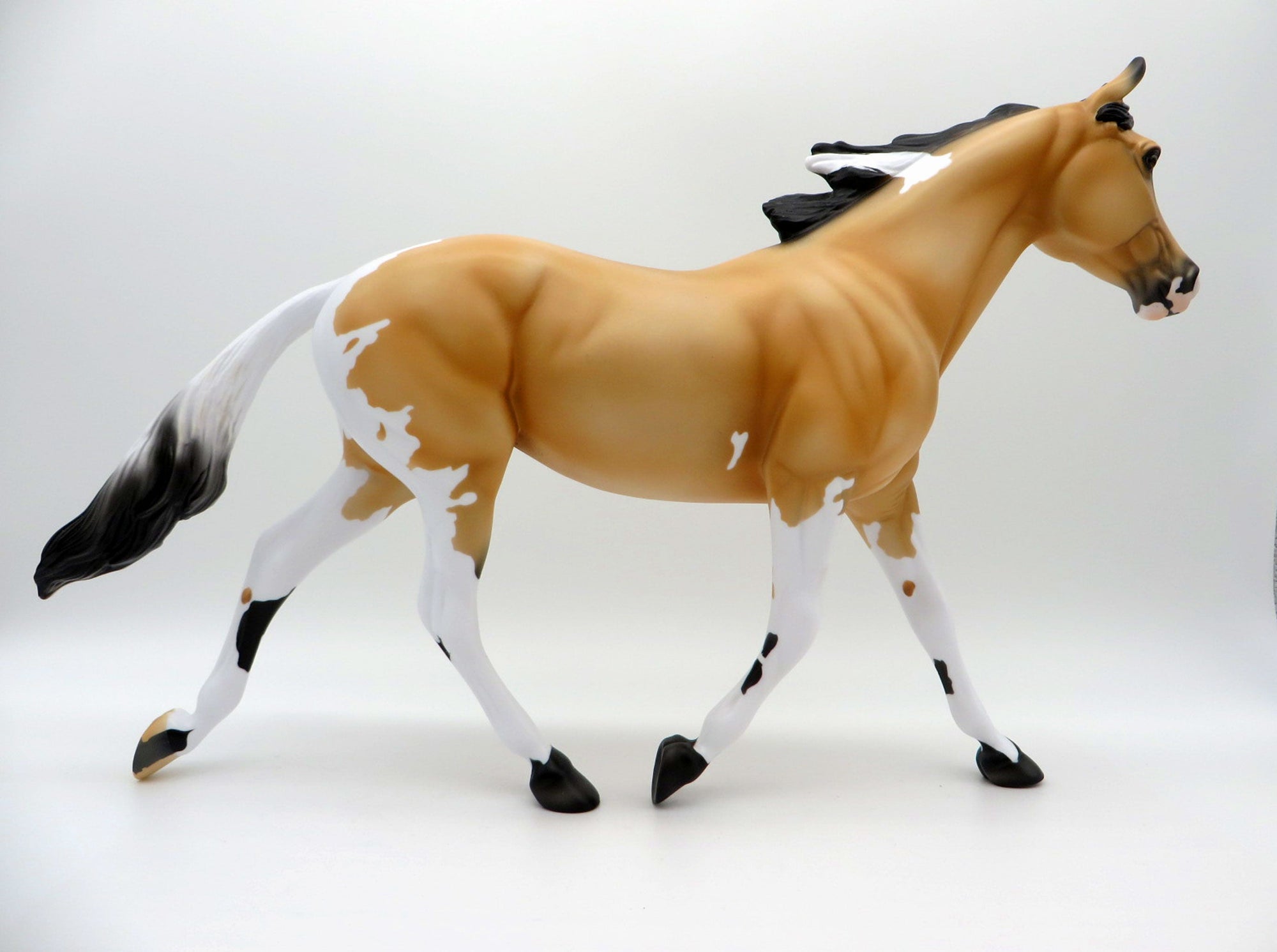 Moccasin-LE-5 Buckskin Paint Palouse 3/26/21