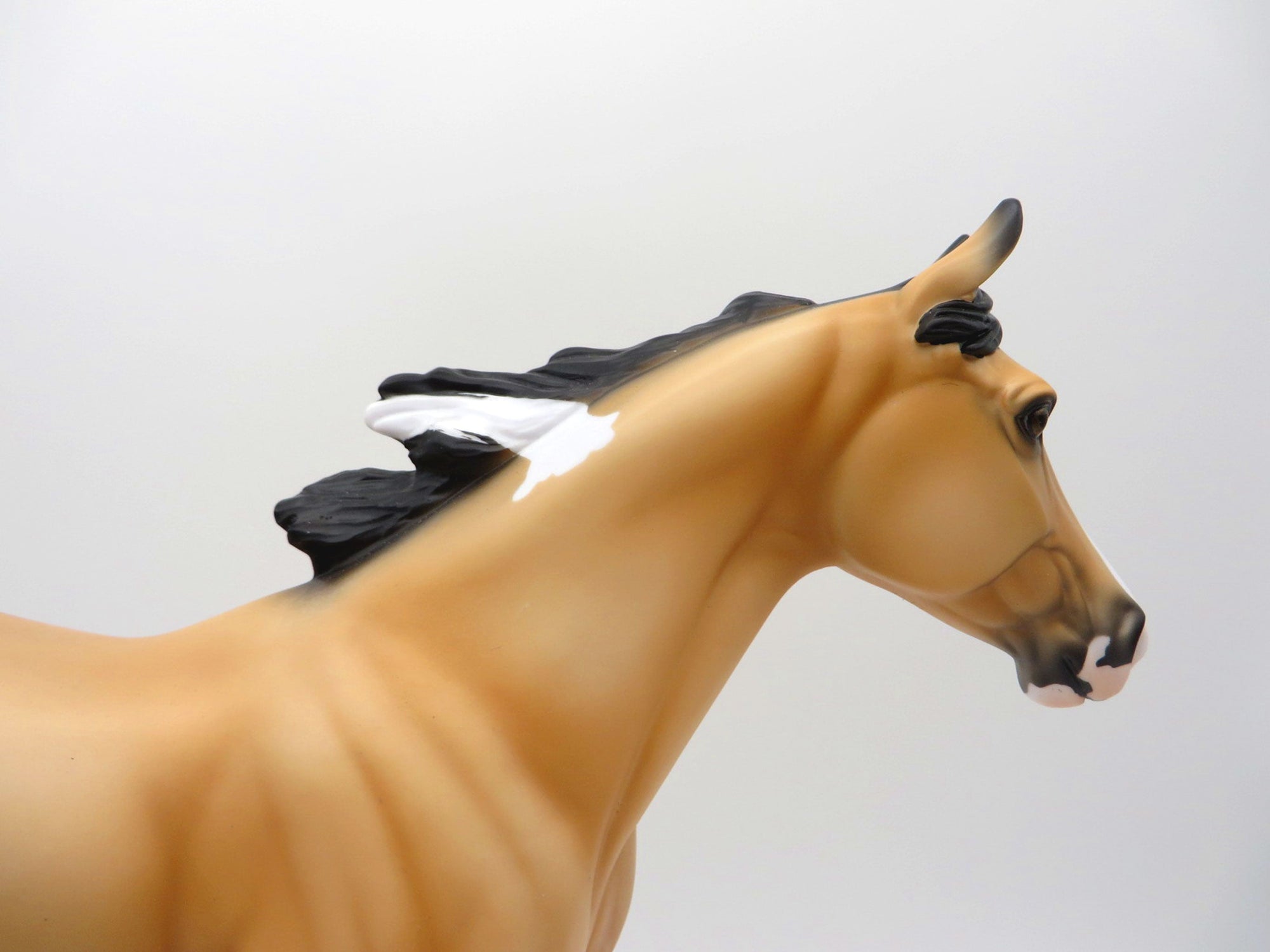 Moccasin-LE-5 Buckskin Paint Palouse 3/26/21