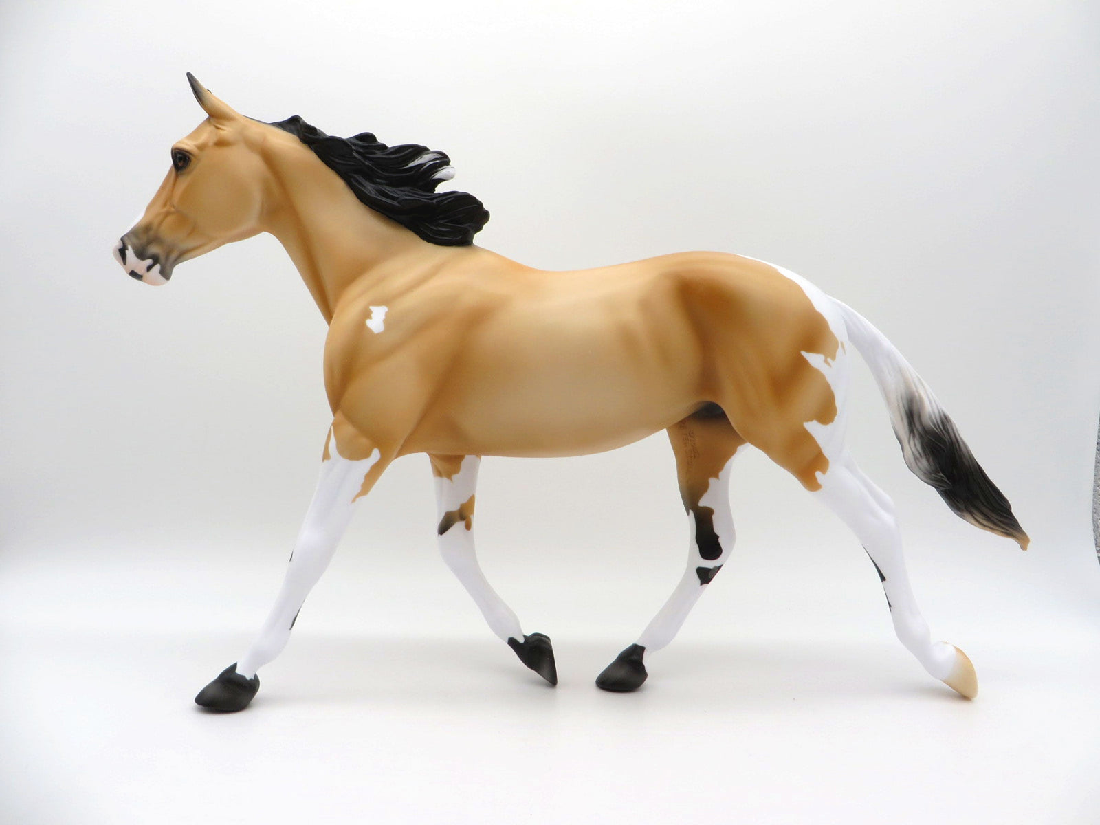 Moccasin-LE-5 Buckskin Paint Palouse 3/26/21