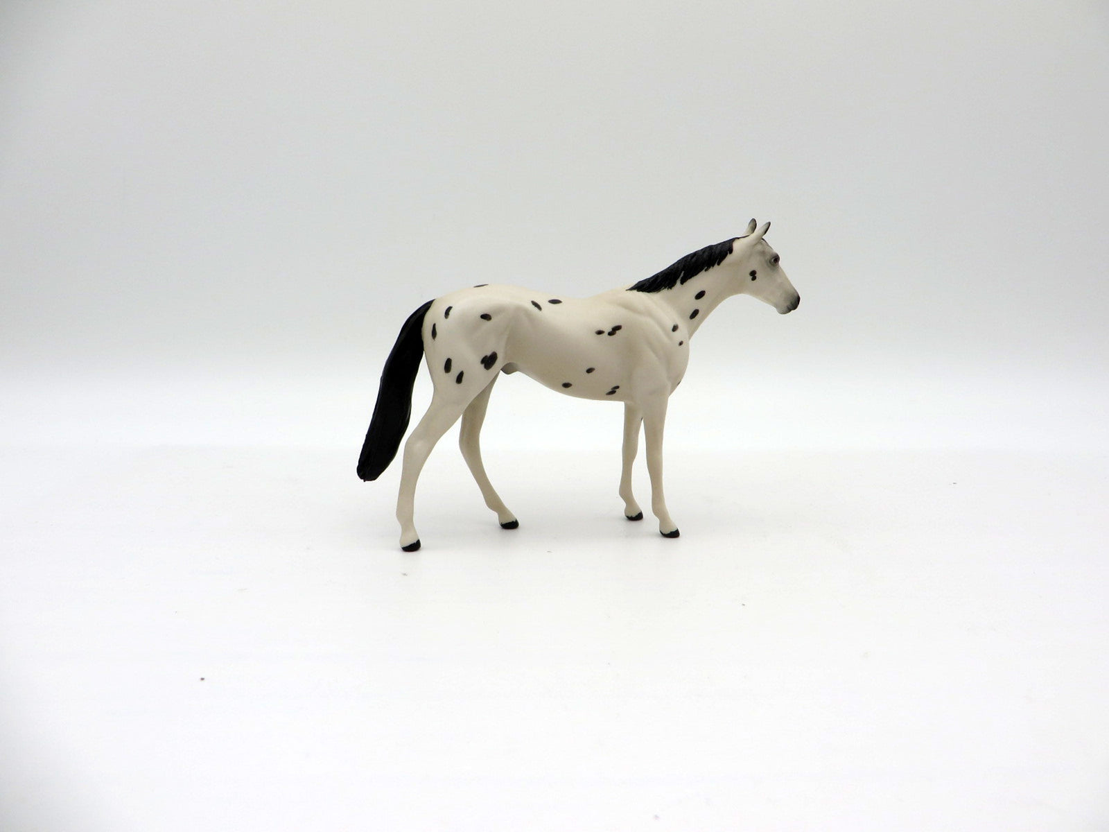 Mocha Chip-OOAK TB Chip Painted By Ellen Robbins  NICM-7/23/21