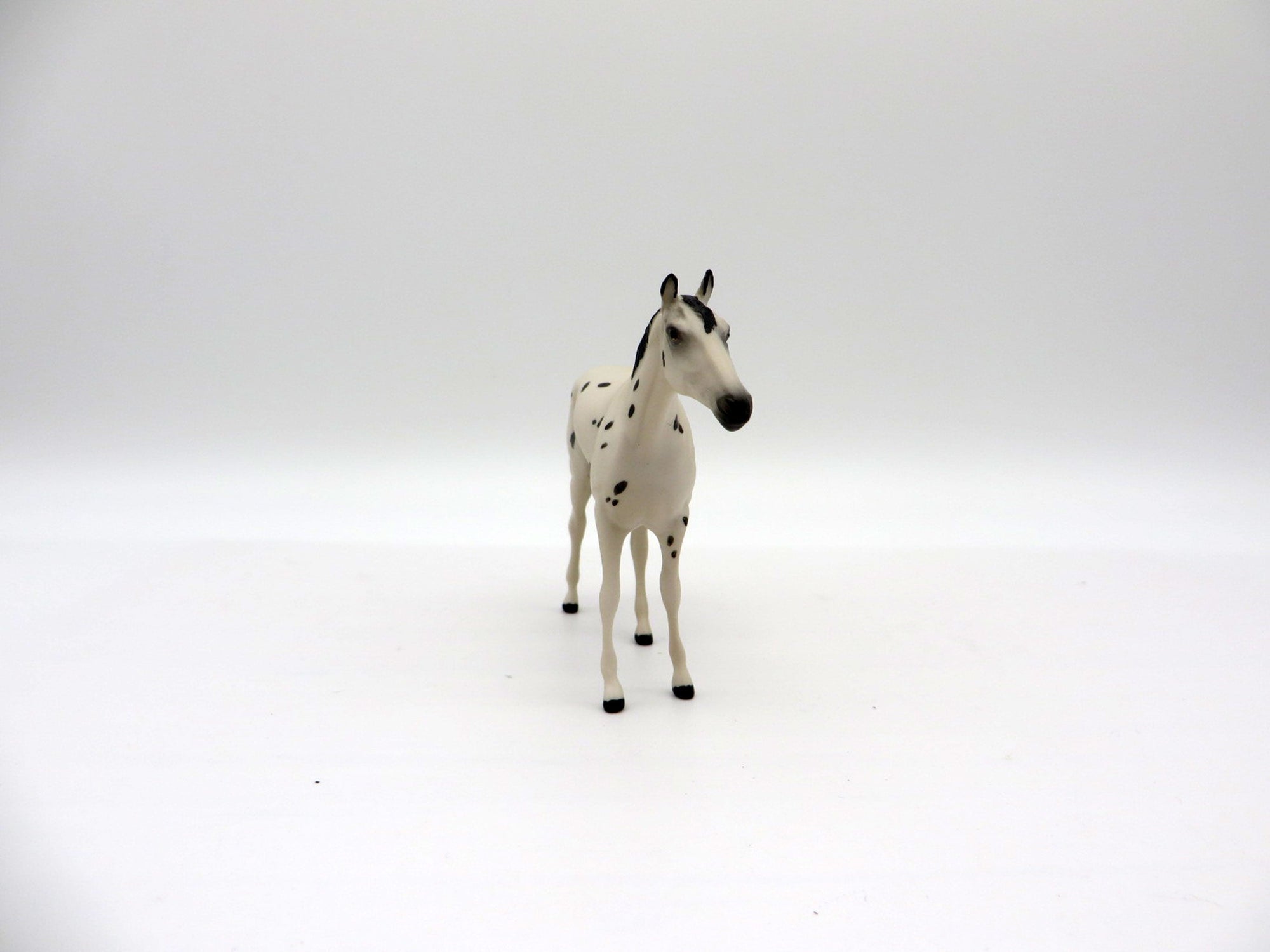 Mocha Chip-OOAK TB Chip Painted By Ellen Robbins  NICM-7/23/21