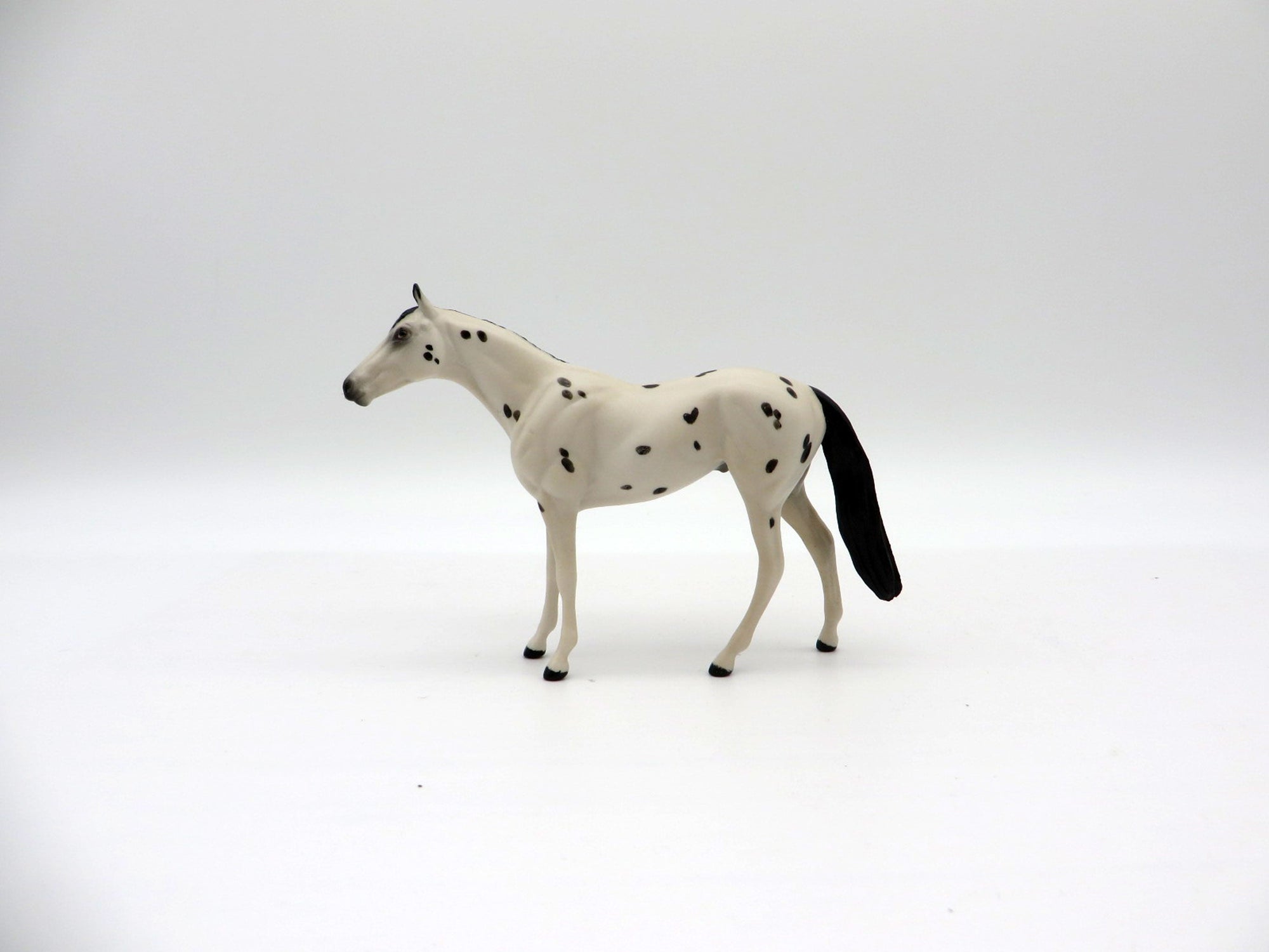 Mocha Chip-OOAK TB Chip Painted By Ellen Robbins  NICM-7/23/21