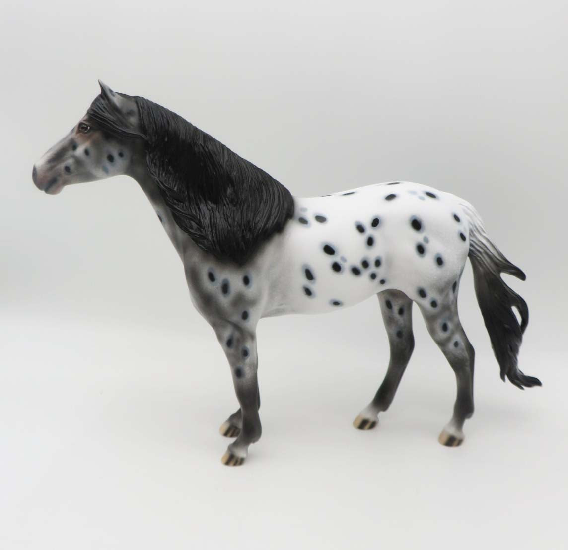 Monica LE 15 Appaloosa Spanish Mustang By Dawn Quick