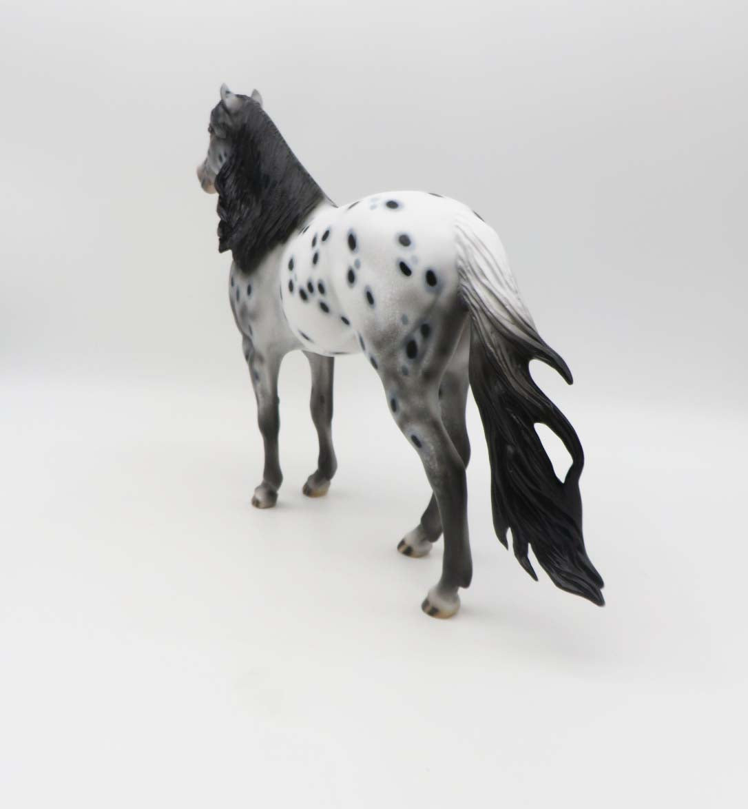 KIDS AUCTION EQ23 Monica LE 15 Appaloosa Spanish Mustang By Dawn Quick