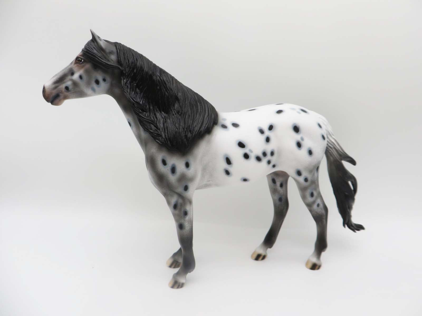 KIDS AUCTION EQ23 Monica LE 15 Appaloosa Spanish Mustang By Dawn Quick