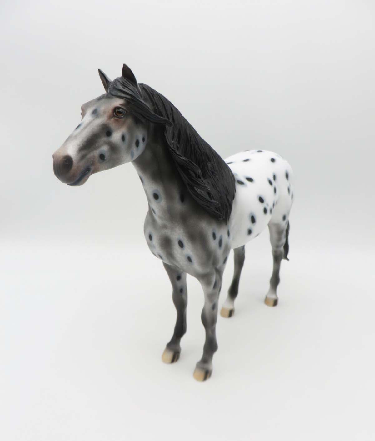 KIDS AUCTION EQ23 Monica LE 15 Appaloosa Spanish Mustang By Dawn Quick