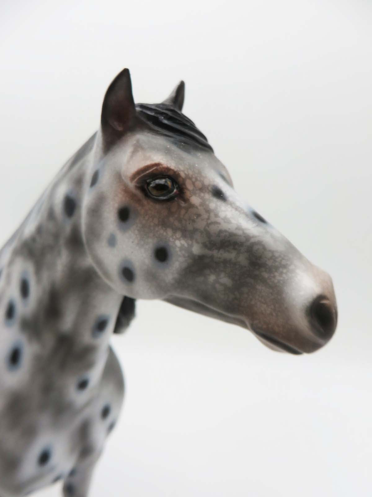 Monica LE 15 Appaloosa Spanish Mustang By Dawn Quick