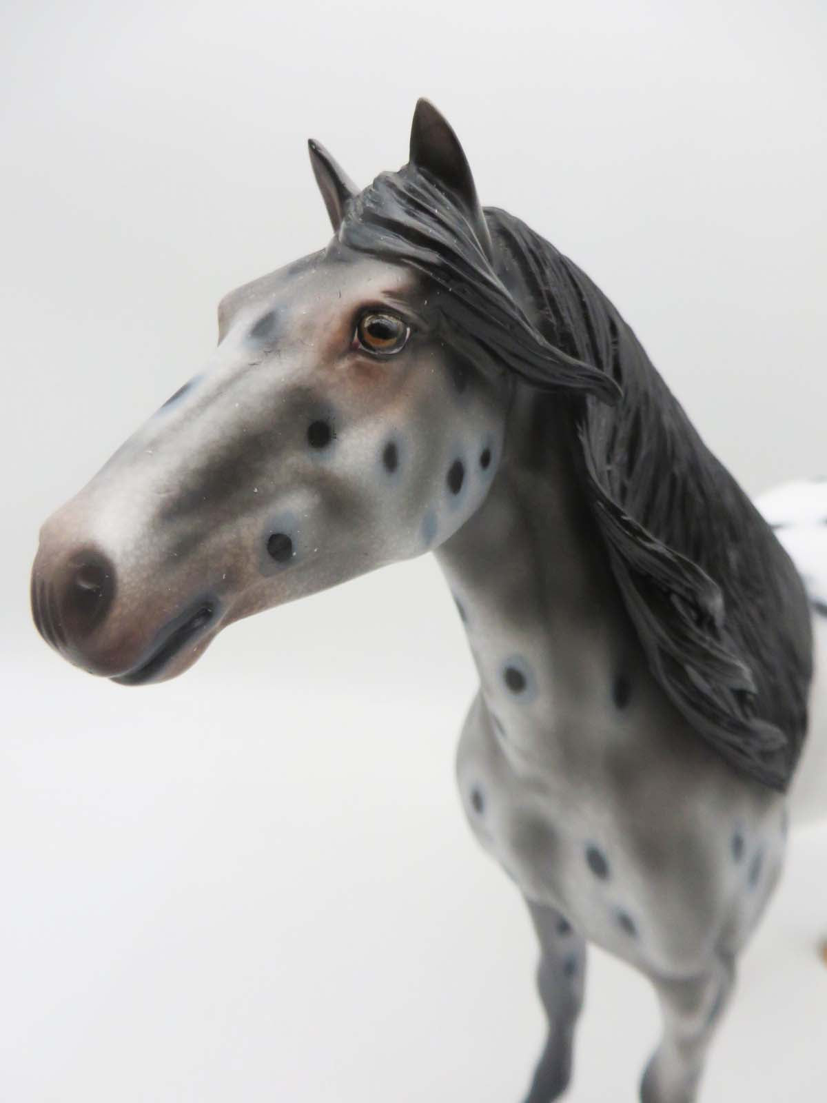 KIDS AUCTION EQ23 Monica LE 15 Appaloosa Spanish Mustang By Dawn Quick