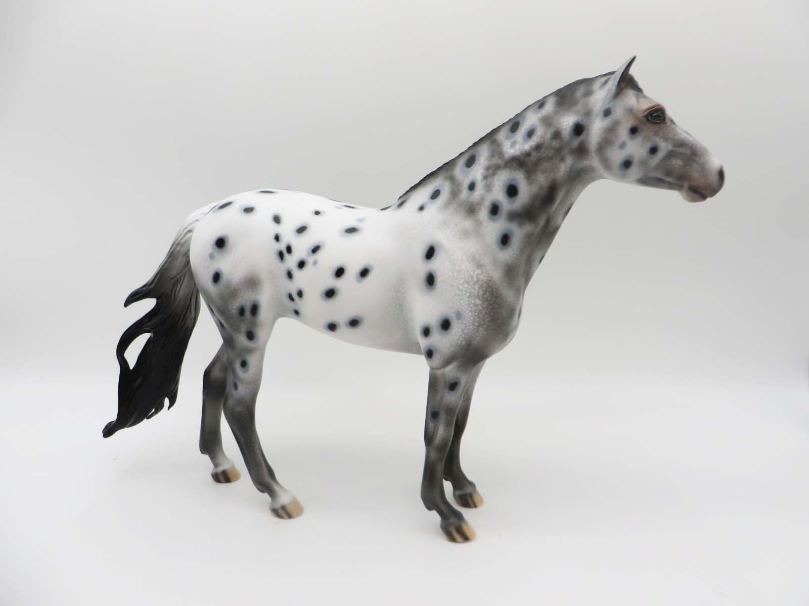 Monica LE 15 Appaloosa Spanish Mustang By Dawn Quick