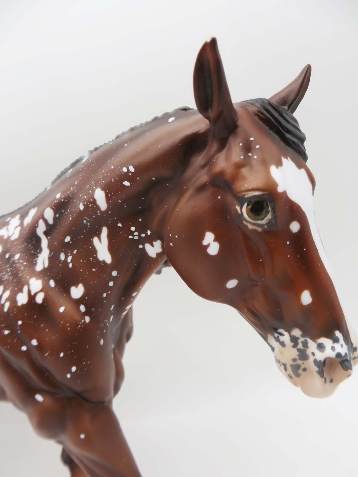 Monster Magnet- LE-10 Celebrity Visiting Horse SHCF 23 Snowflake Appaloosa Running Stock- SHCF23