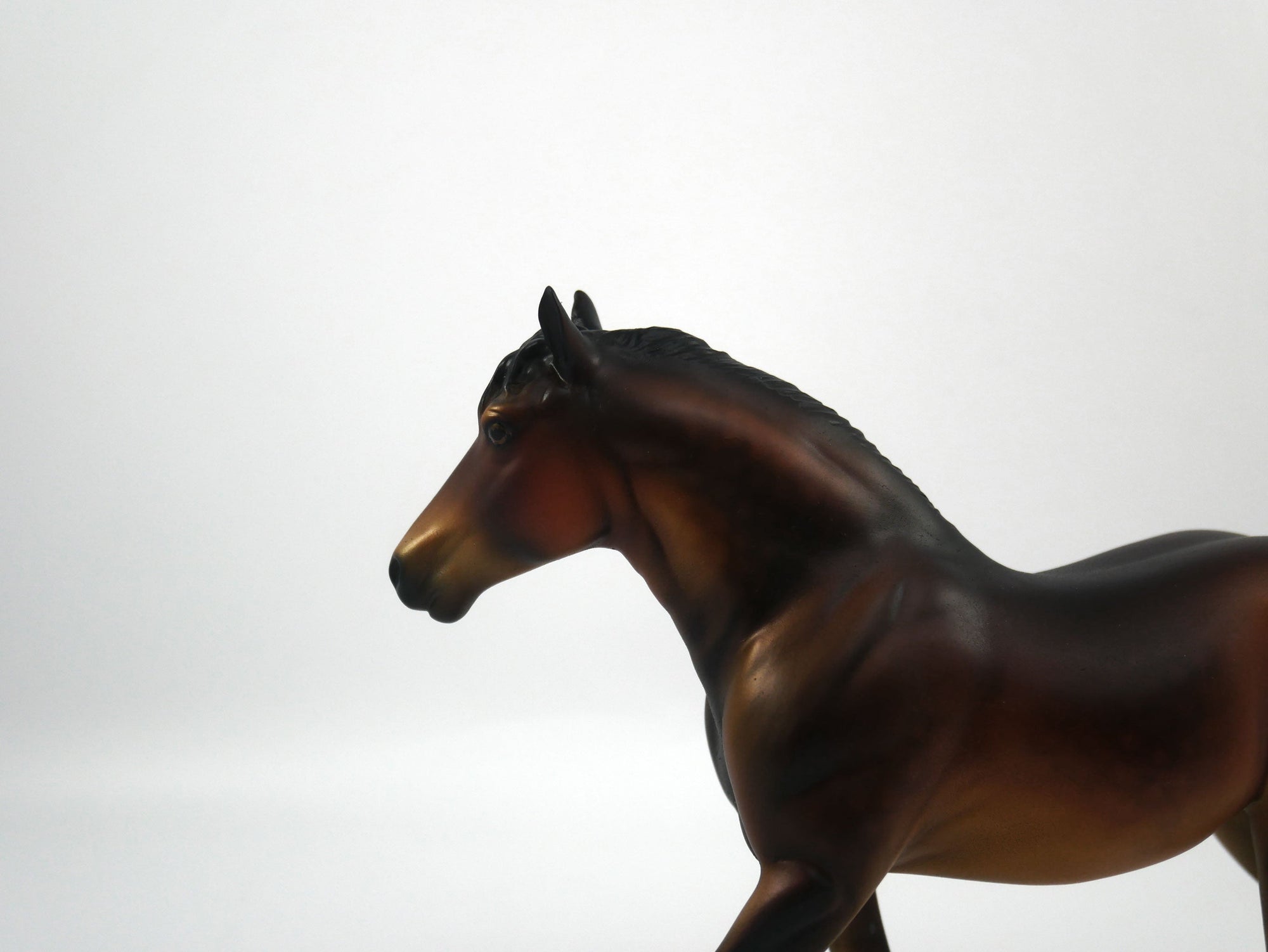 Montana-LE-8 Dapple Bay Trotting Draft Pebbles SB21