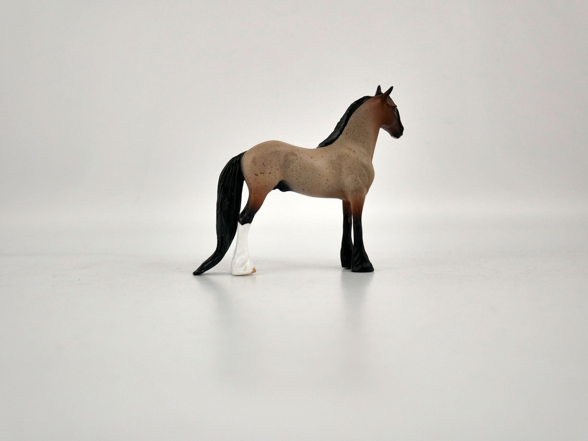 What is inside the Box&gt; Monte 12/20