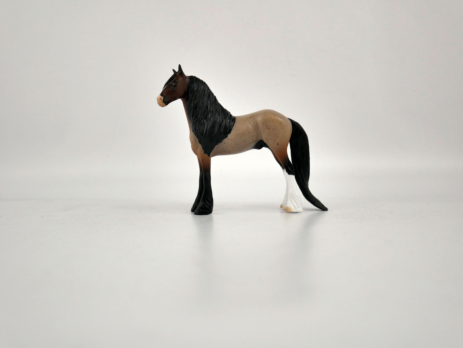 What is inside the Box> Monte 12/20